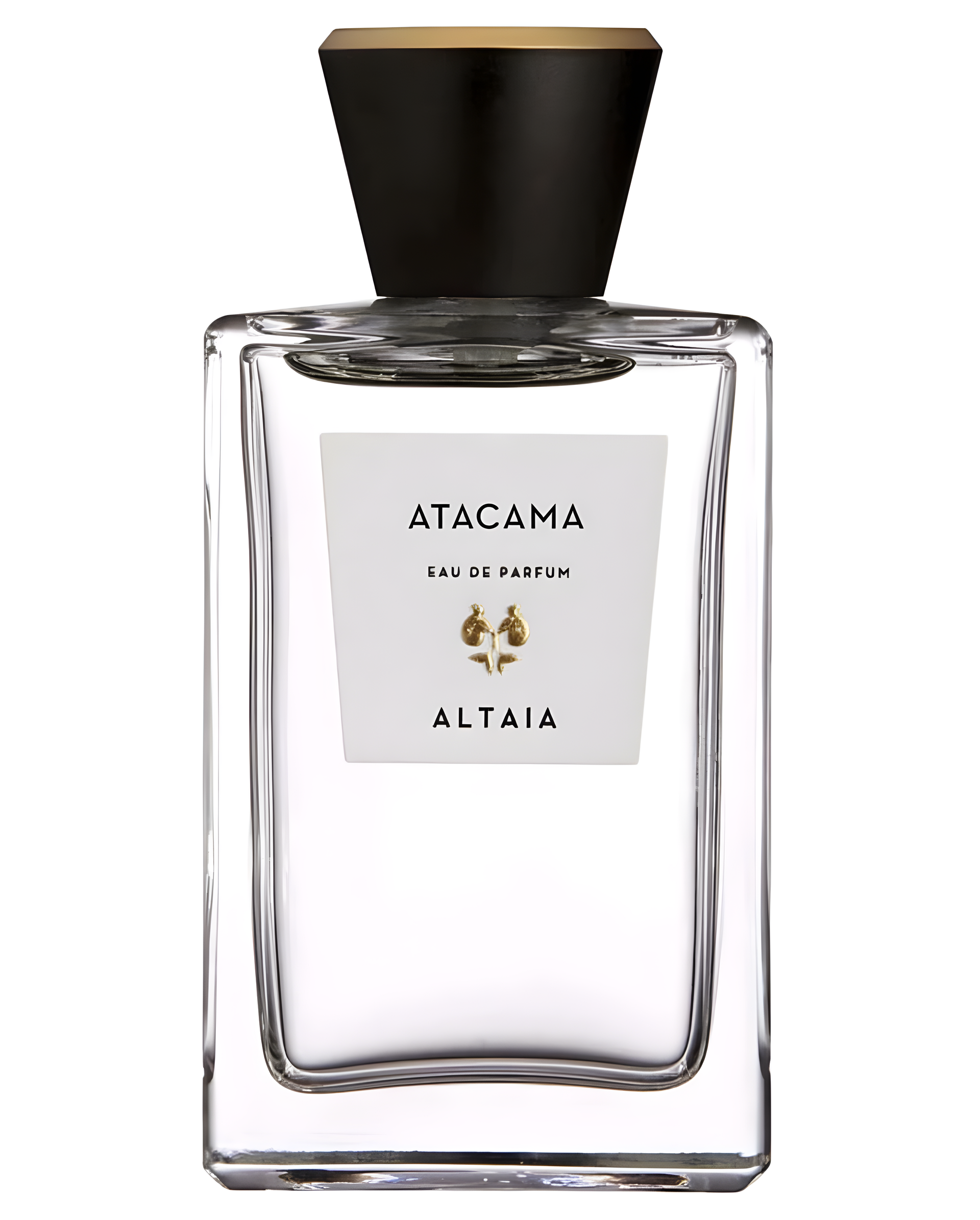 Atacama by ALTAIA perfume bottle