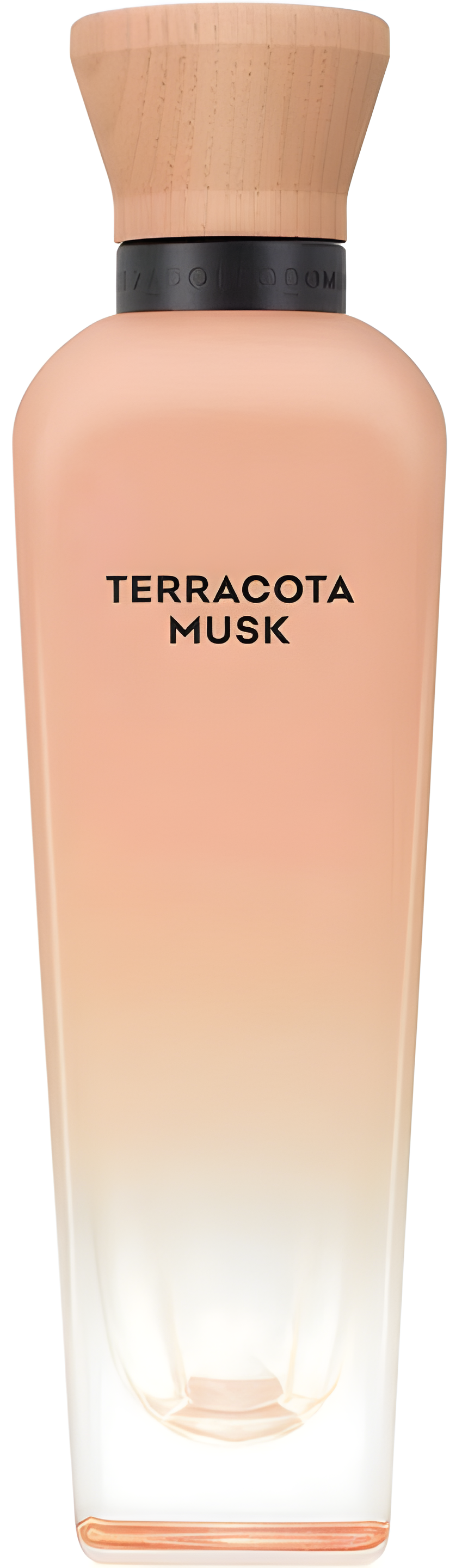 Terracota Musk by Adolfo Dominguez perfume bottle