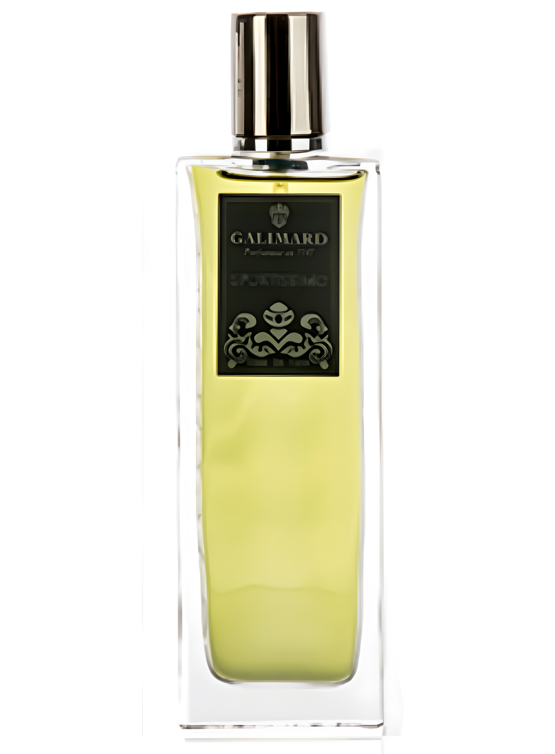Sportissimo by Galimard perfume bottle
