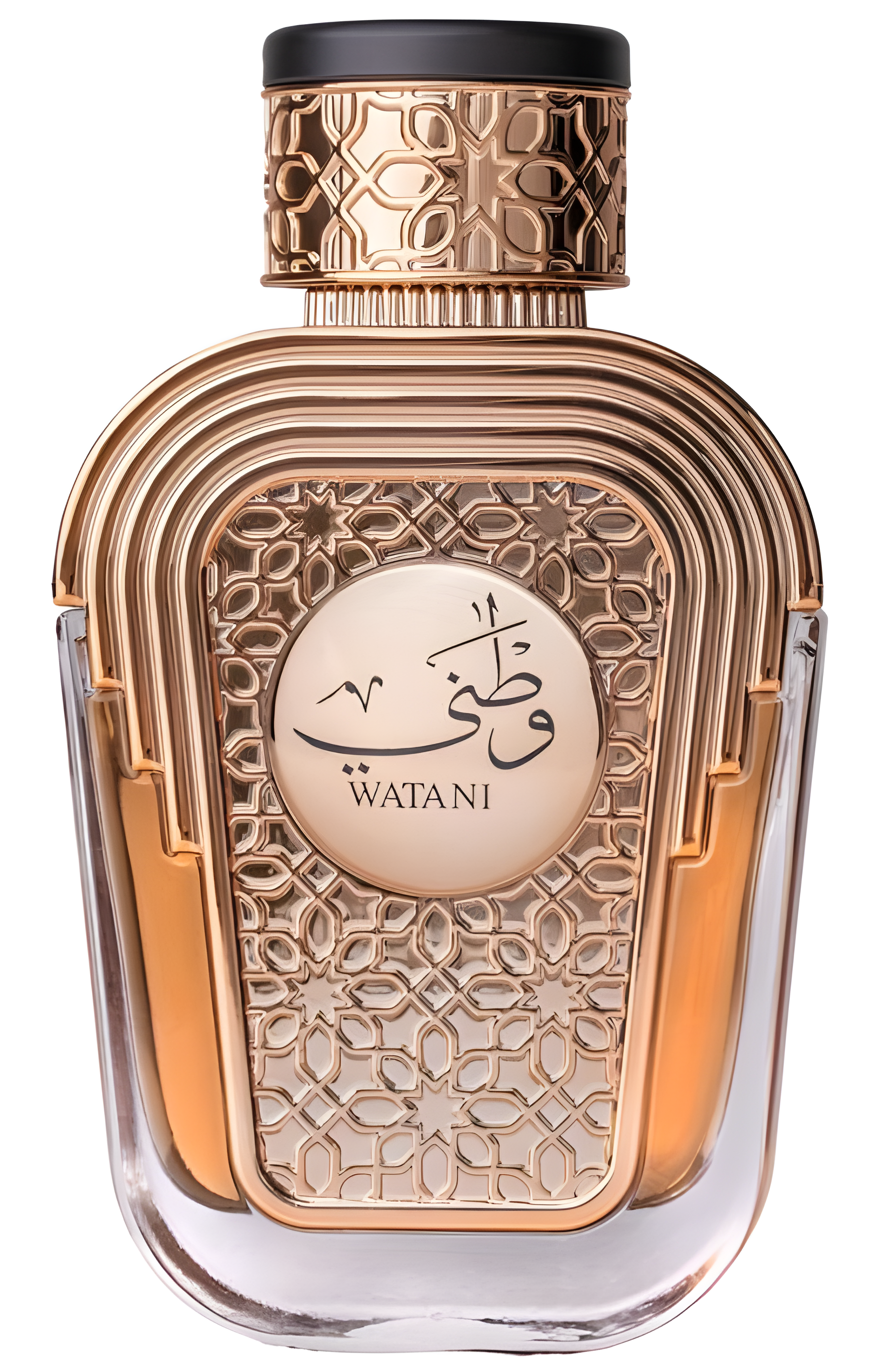 Watani by Al Wataniah perfume bottle