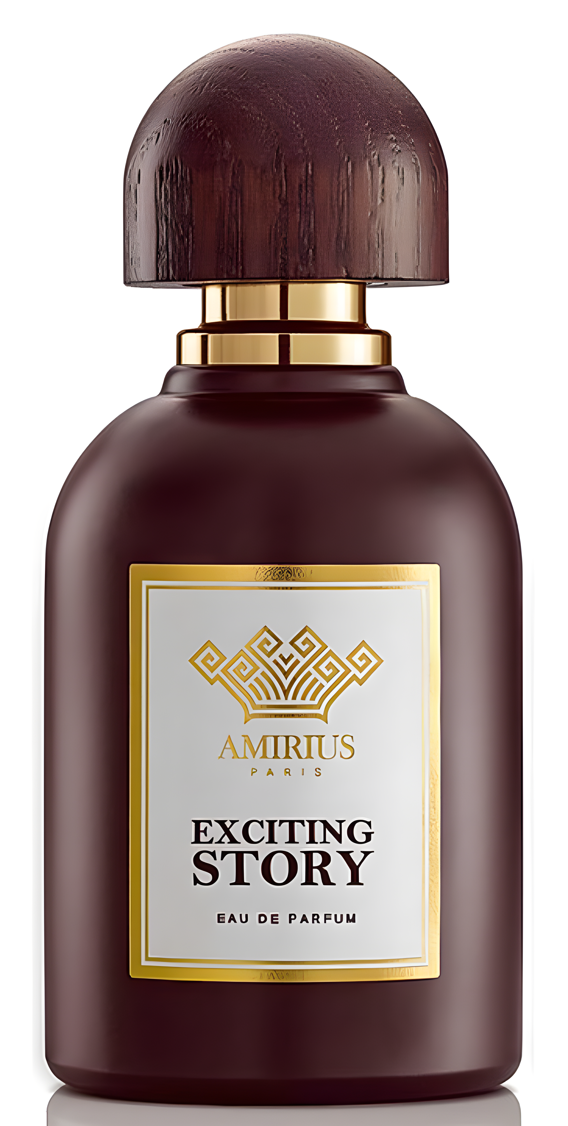 Exciting Story by Amirius perfume bottle