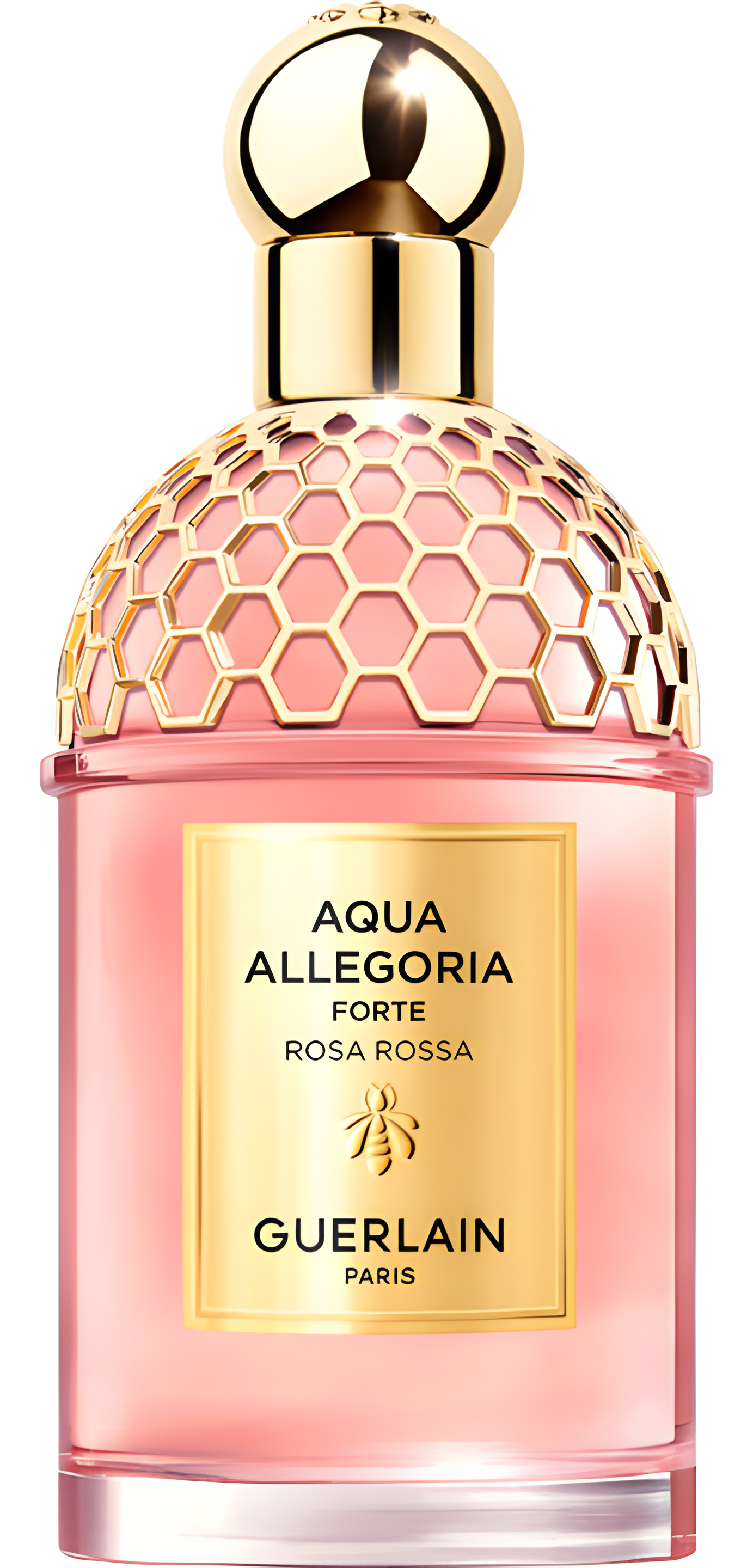 Aqua Allegoria Forte Rosa Rossa by Guerlain perfume bottle