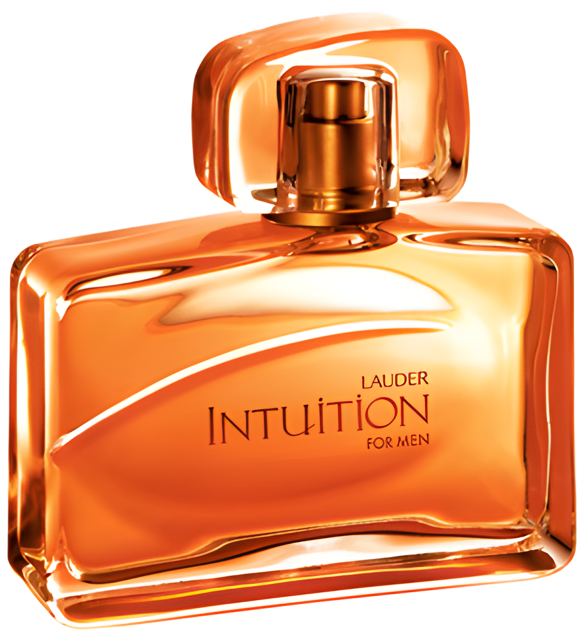 Intuition for Men by Estée Lauder perfume bottle