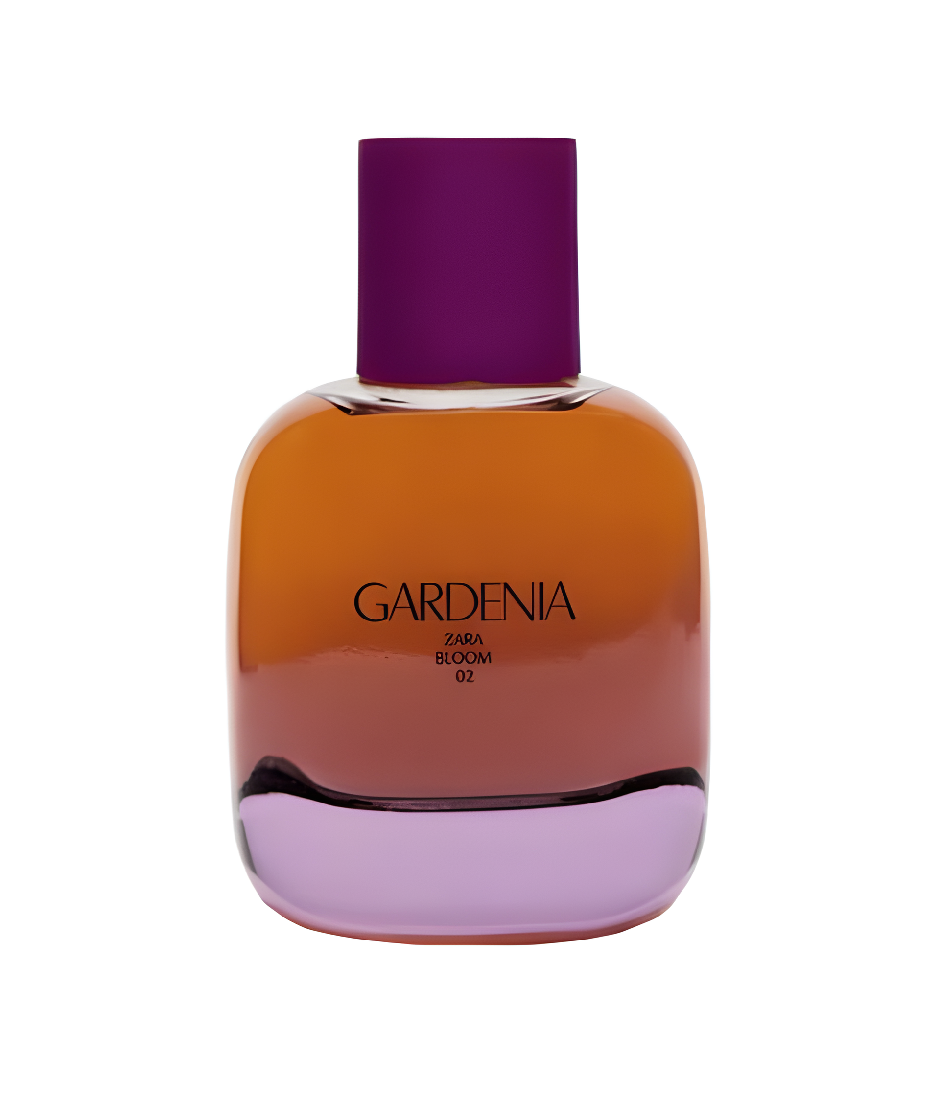 Gardenia Eau de Parfum by Zara perfume bottle