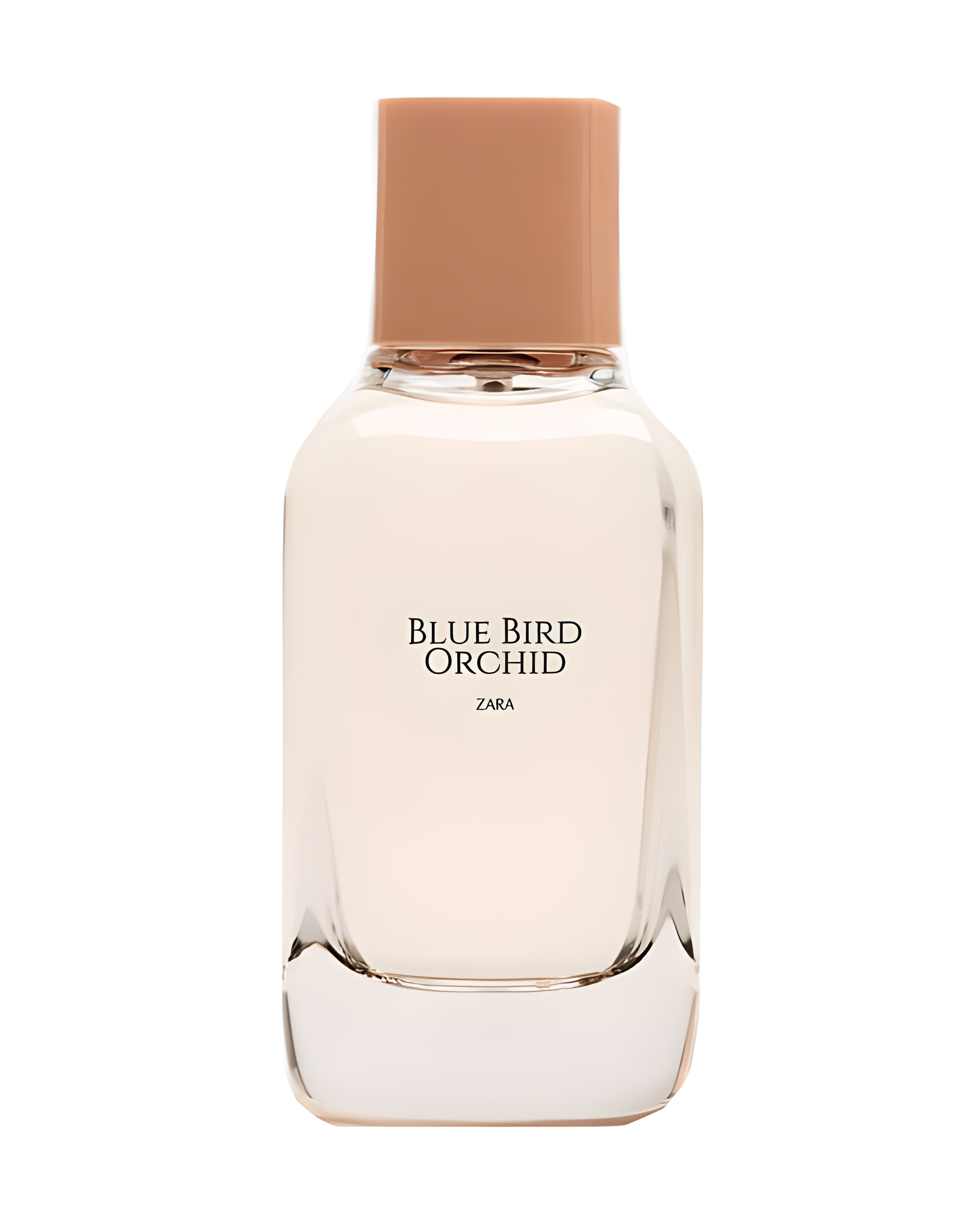 Blue Bird Orchid by Zara perfume bottle