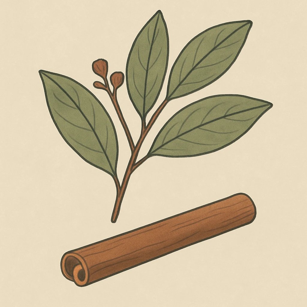 Picture of Ishpink, Ocotea Quixos note