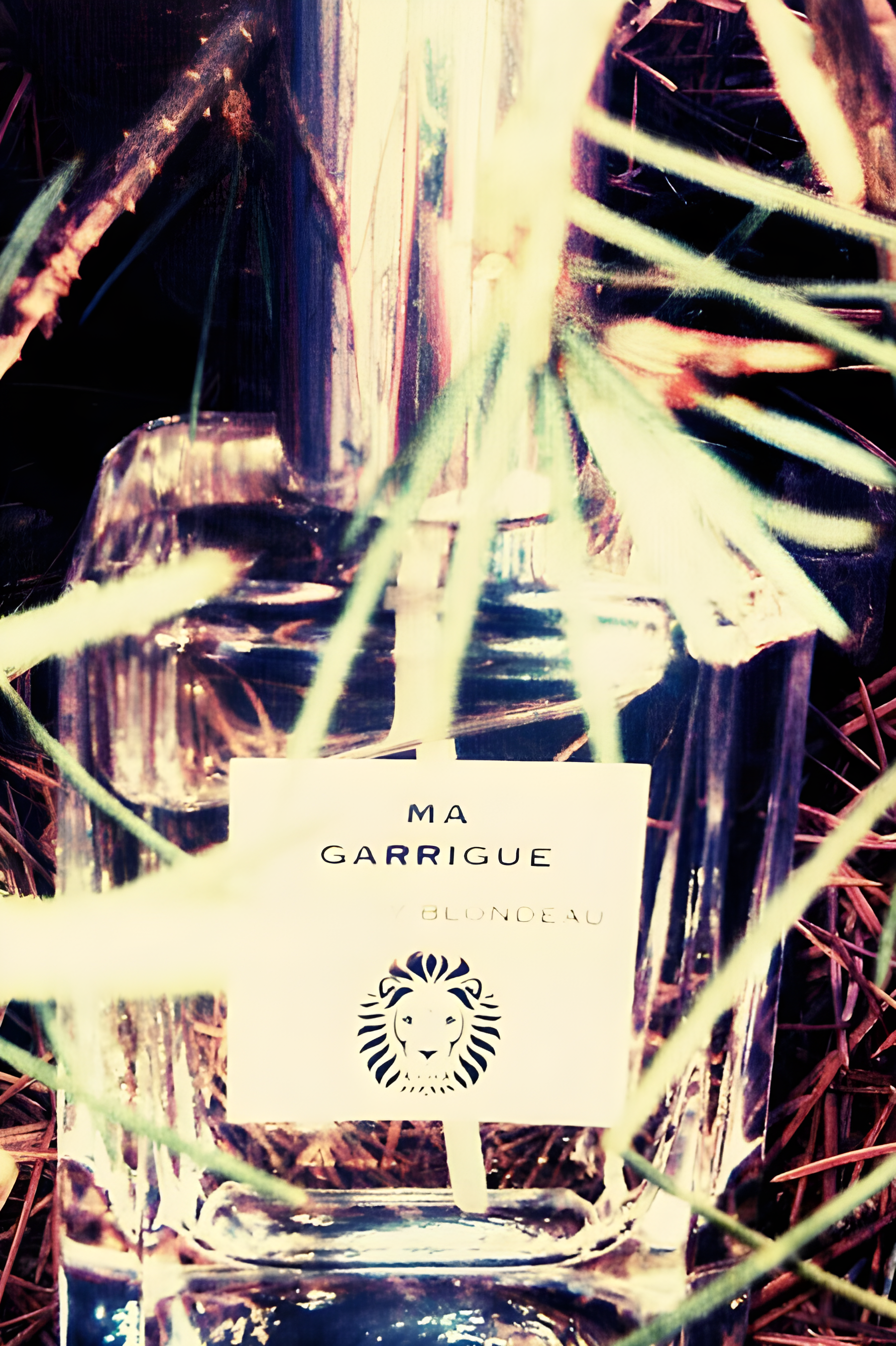 Ma Guarrigue by Thierry Blondeau perfume bottle