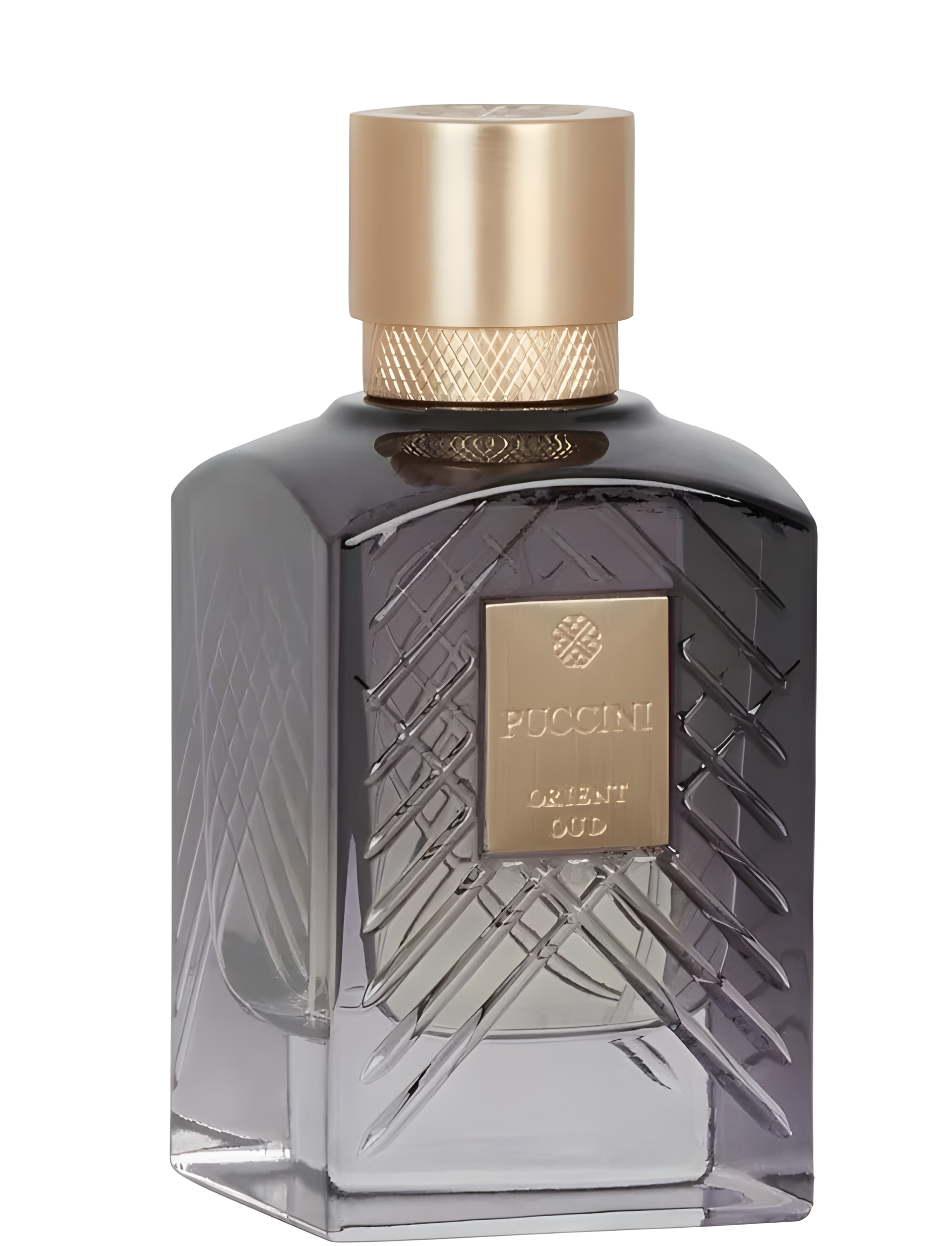 Orient Oud by Puccini Paris perfume bottle
