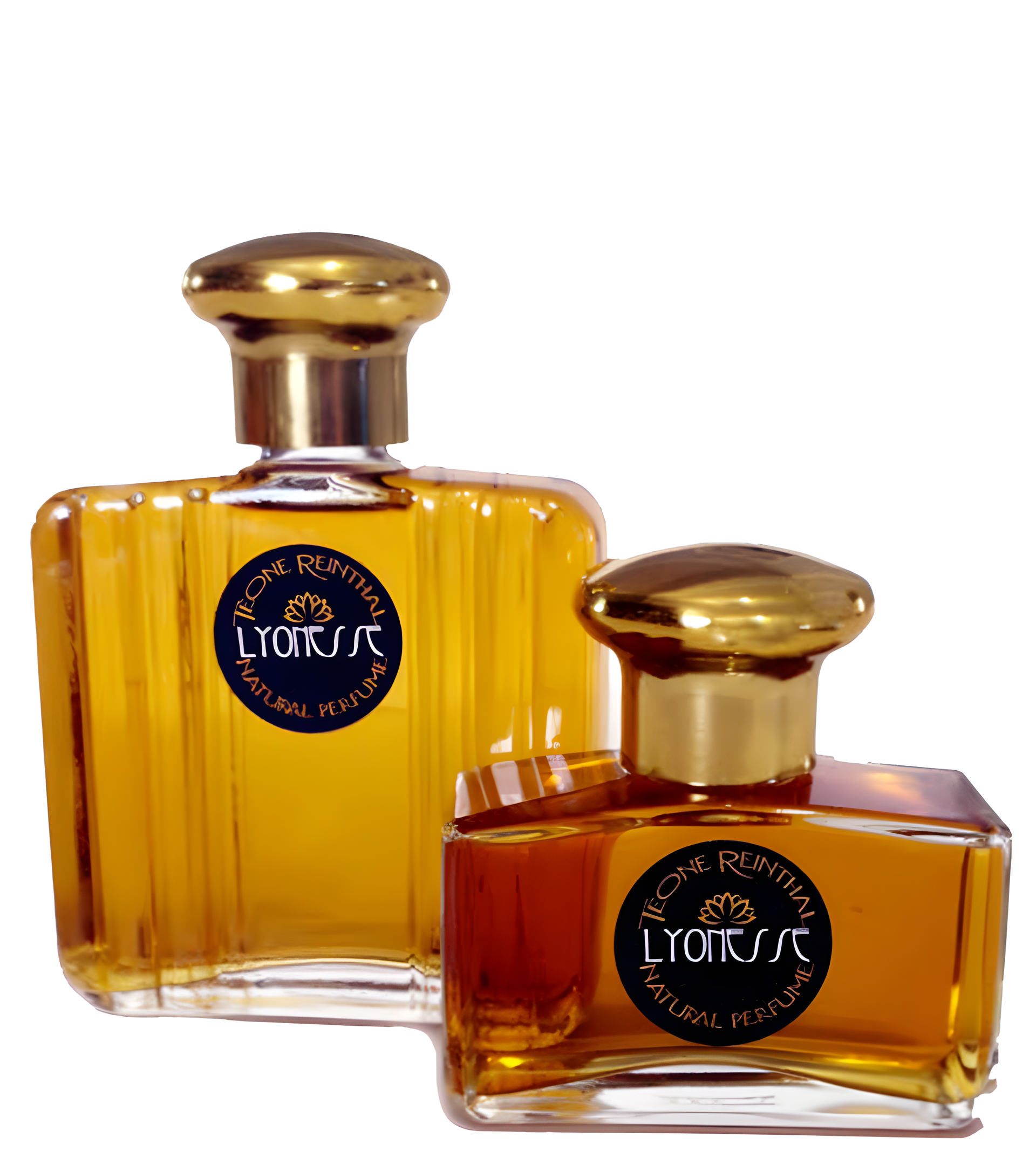 Lyonesse by TRNP perfume bottle