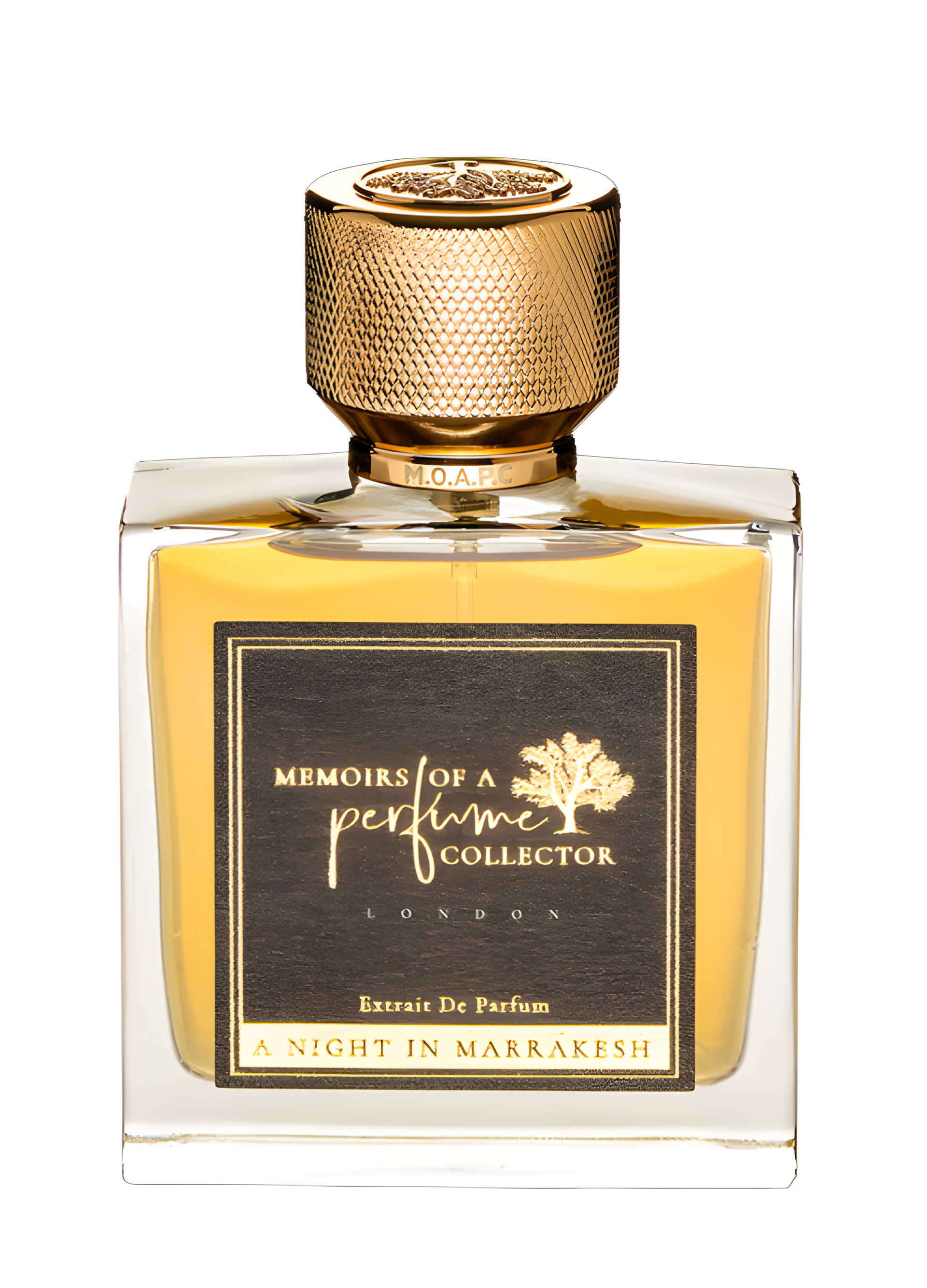A Night in Marrakesh by Memoirs Of A Perfume Collector perfume bottle