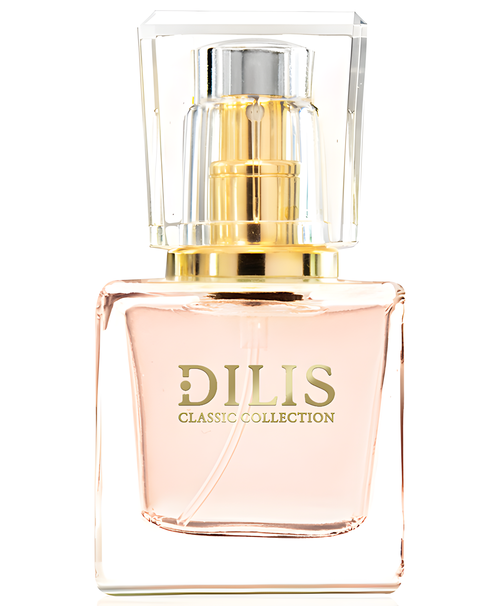 Dilis Classic Collection No. 17 by Dilís Parfum perfume bottle