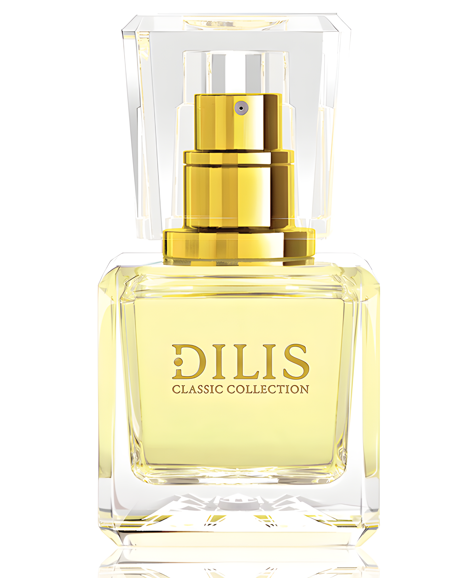 Dilis Classic Collection No. 29 by Dilís Parfum perfume bottle