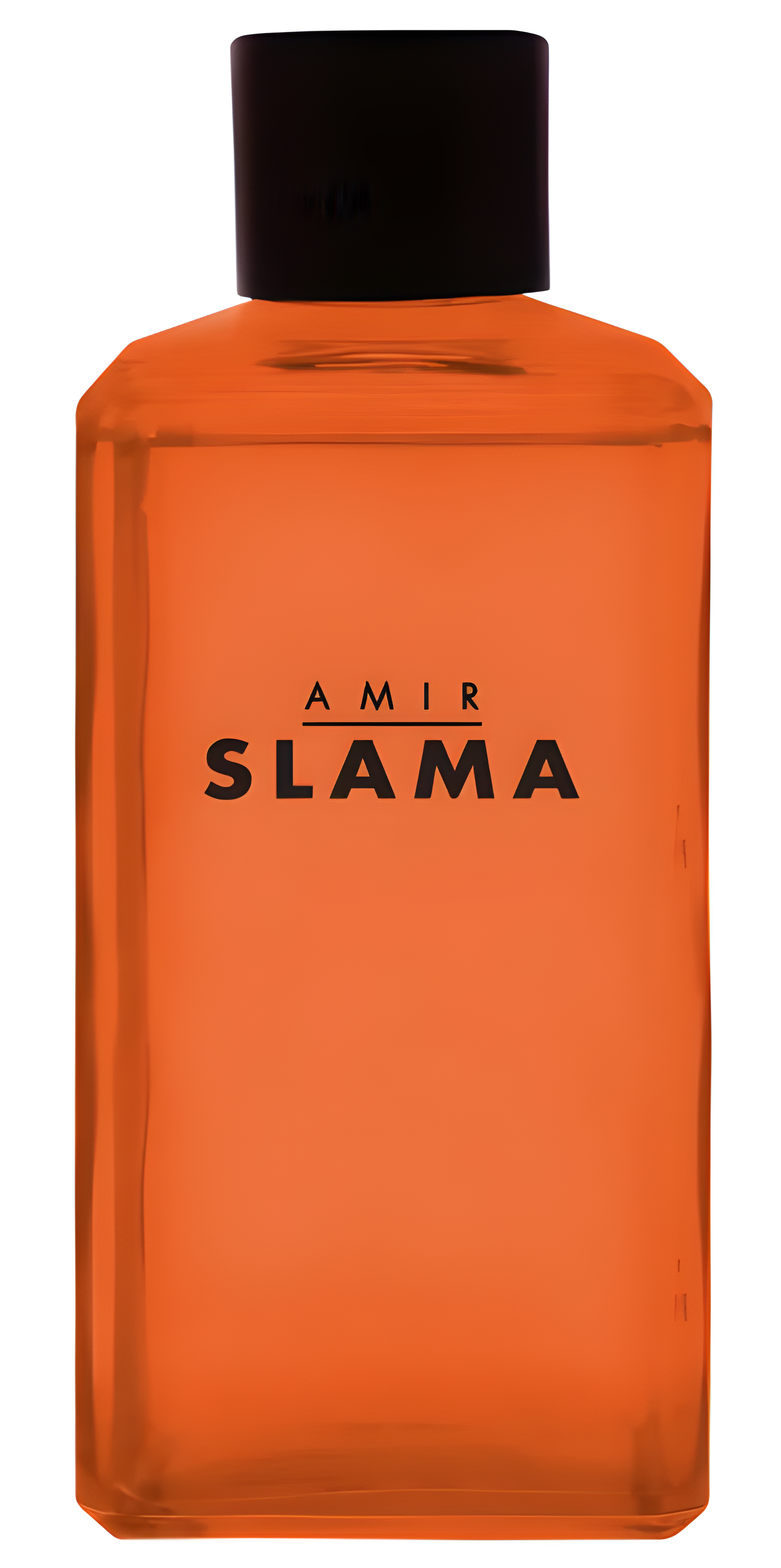 Amir Slama Raiz by Phebo perfume bottle