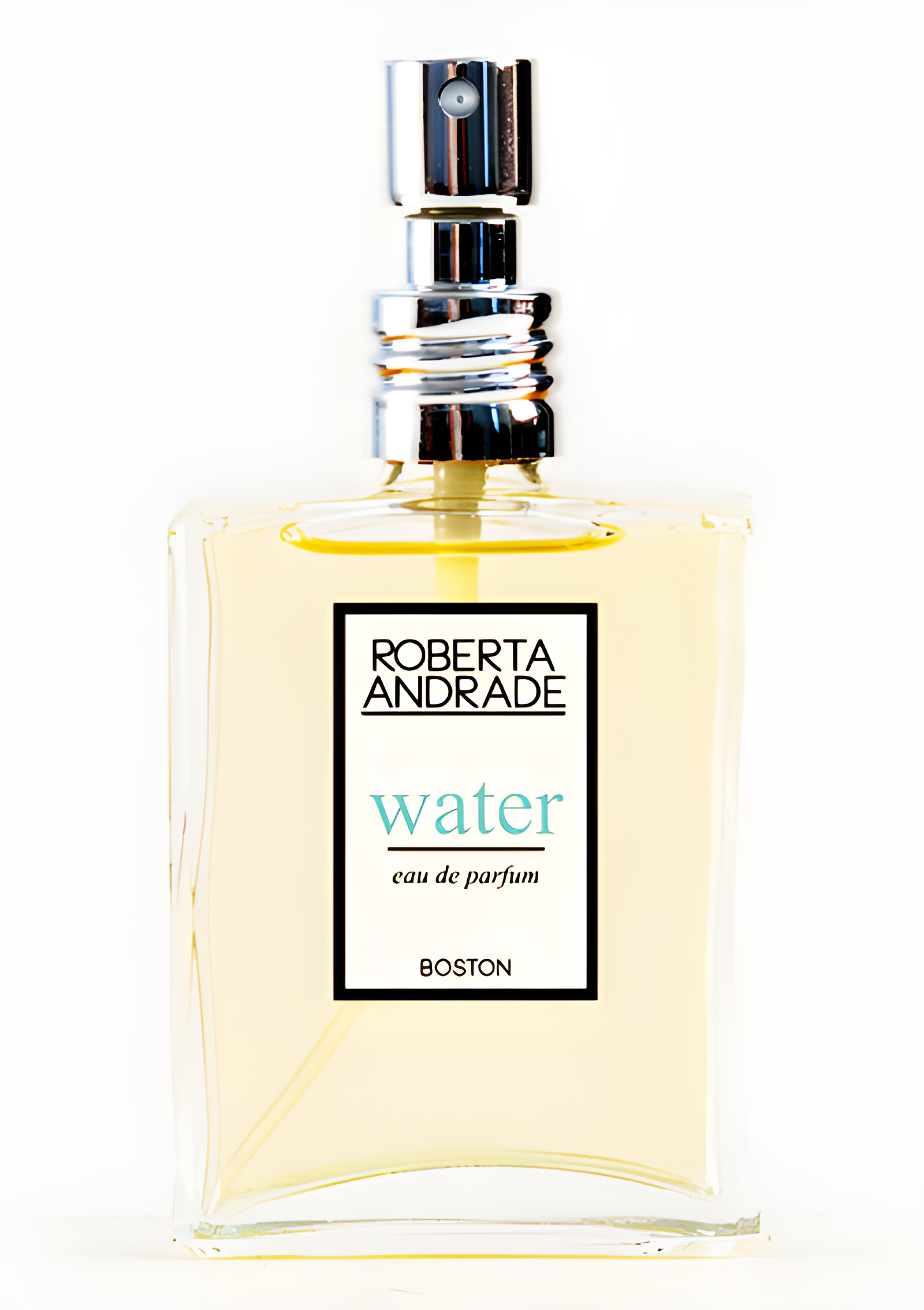 Water by Roberta Andrade perfume bottle