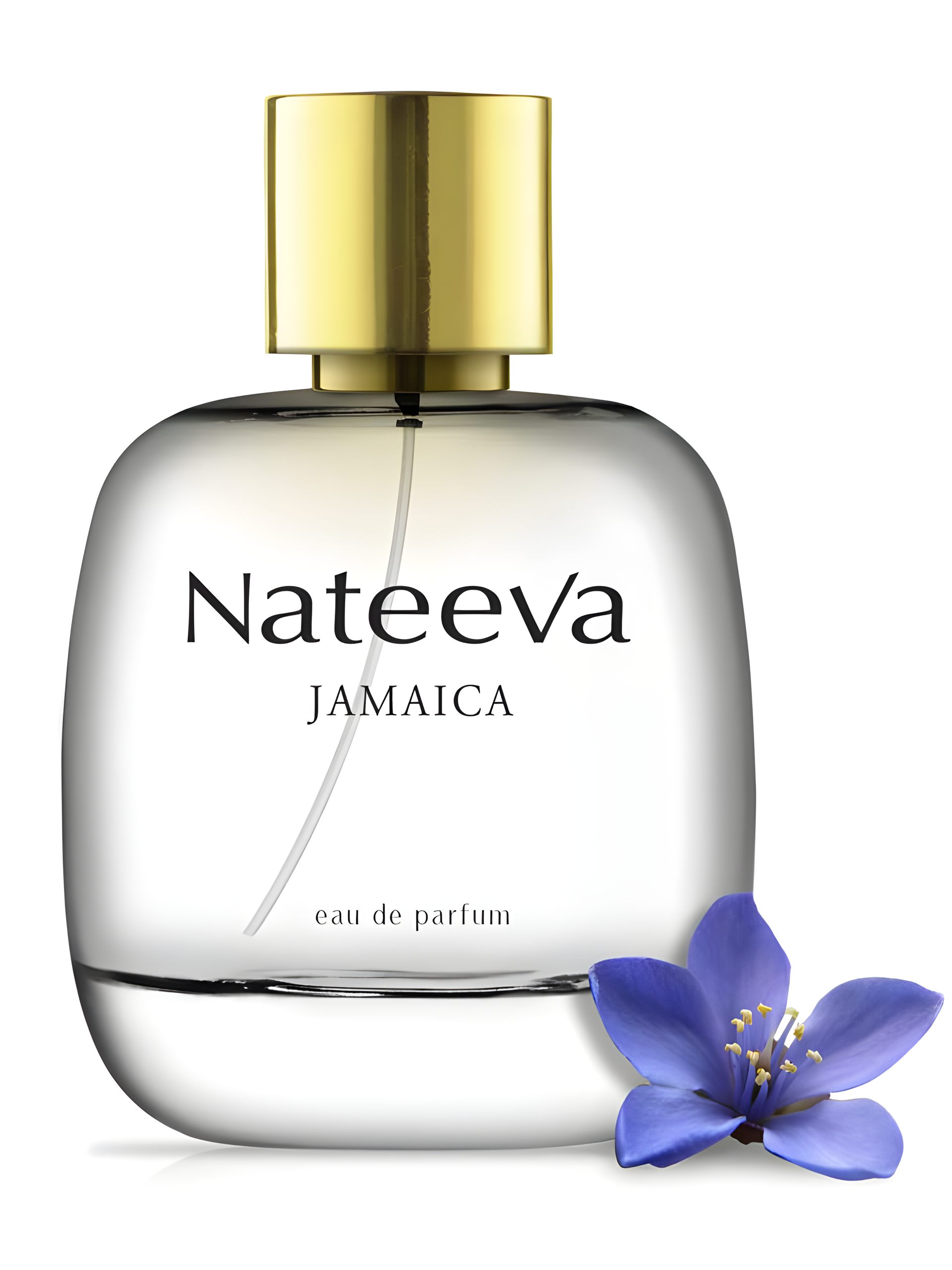 Jamaica by Nateeva perfume bottle