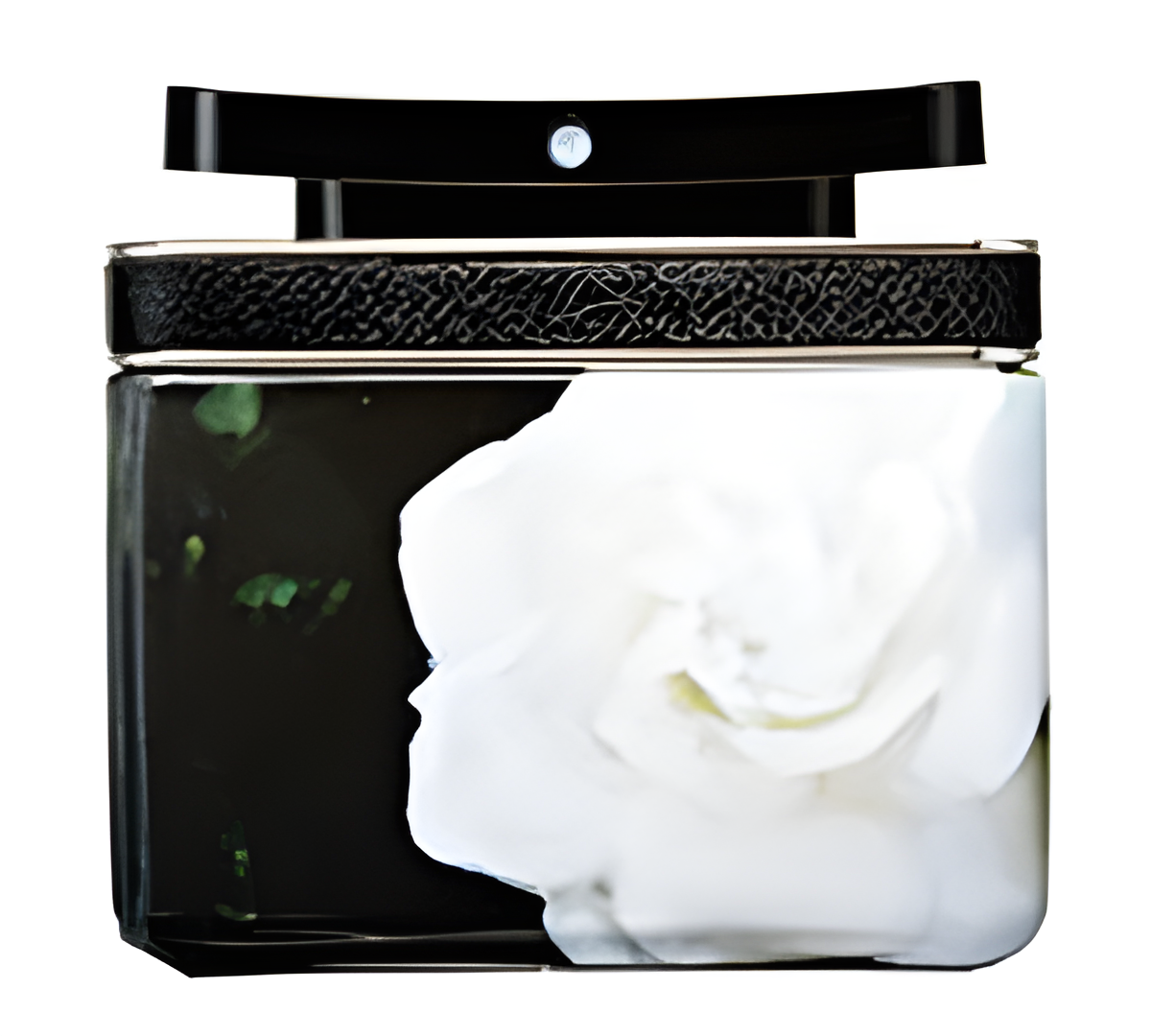 Marc Jacobs Gardenia by Marc Jacobs perfume bottle