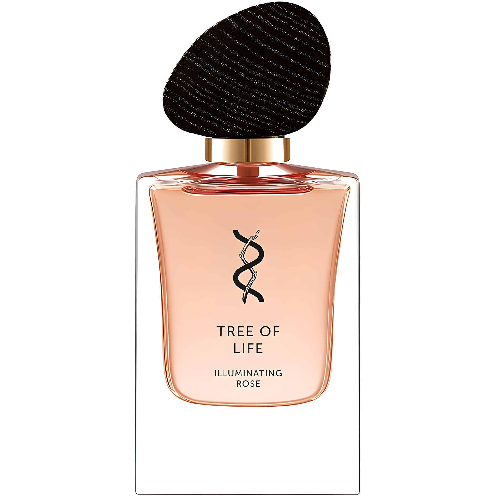 Illuminating Rose by Tree Of Life perfume bottle