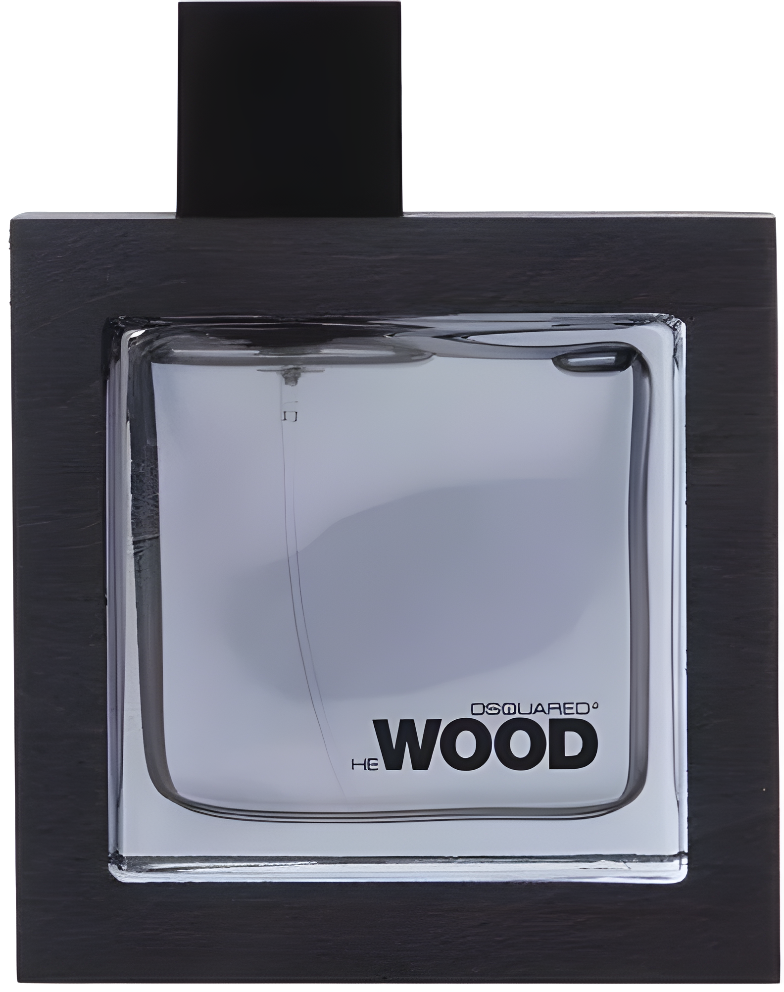 He Wood Silver Wind Wood by DSQUARED² perfume bottle