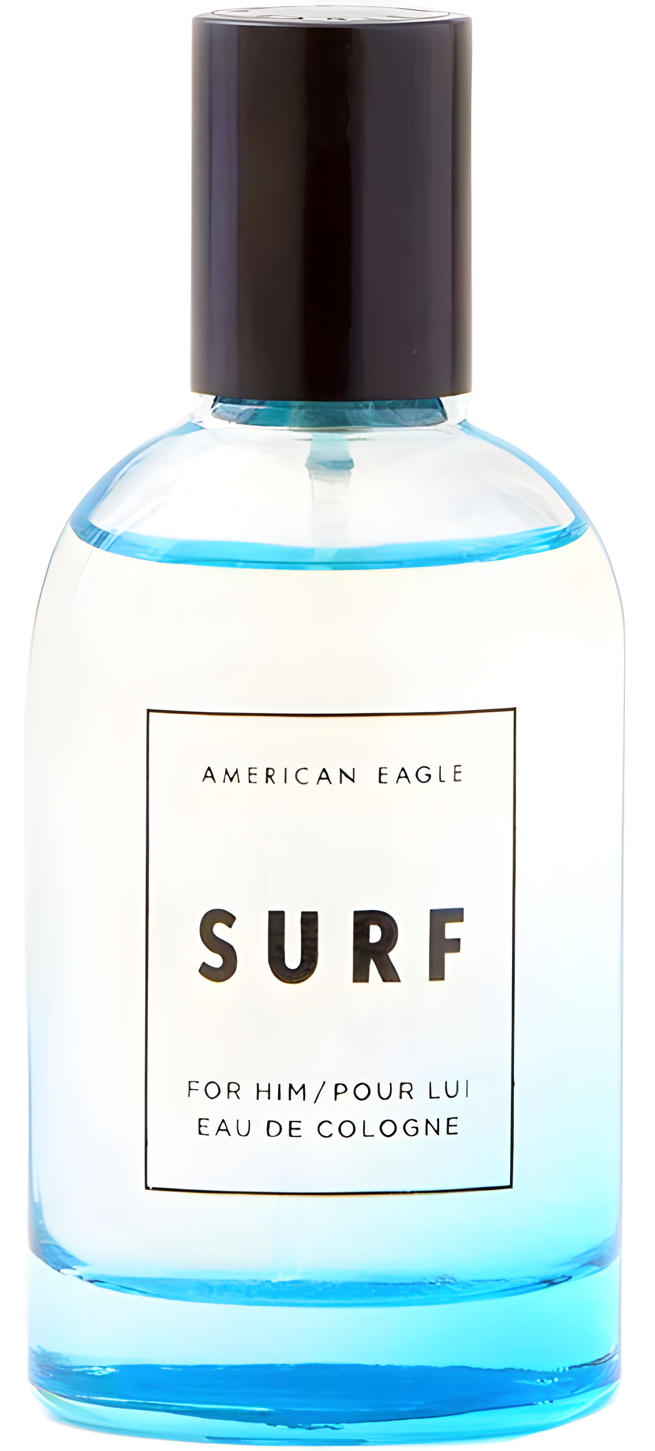 Surf for Him by American Eagle perfume bottle