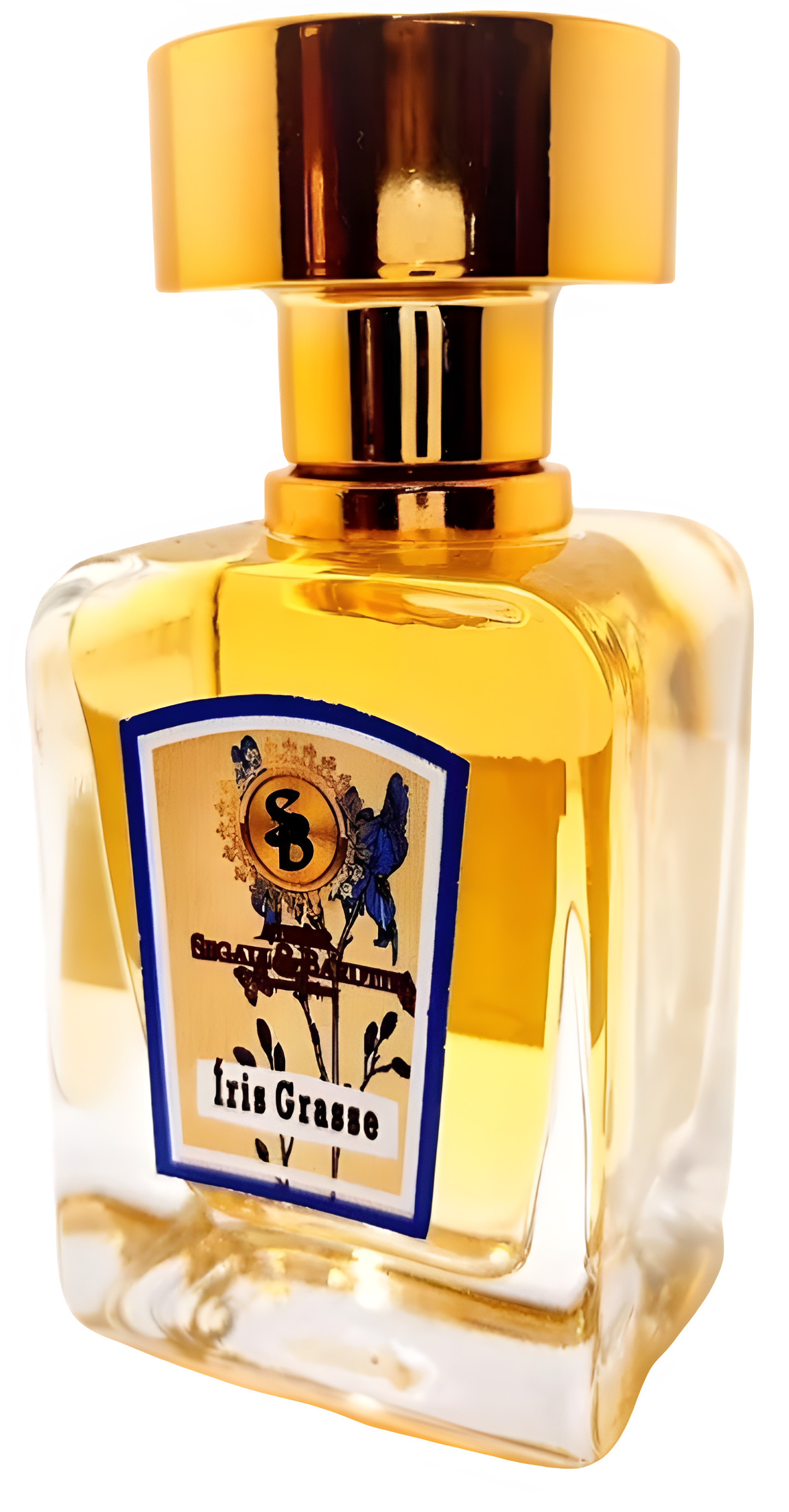 Íris Grasse by Atelier Segall & Barutti perfume bottle