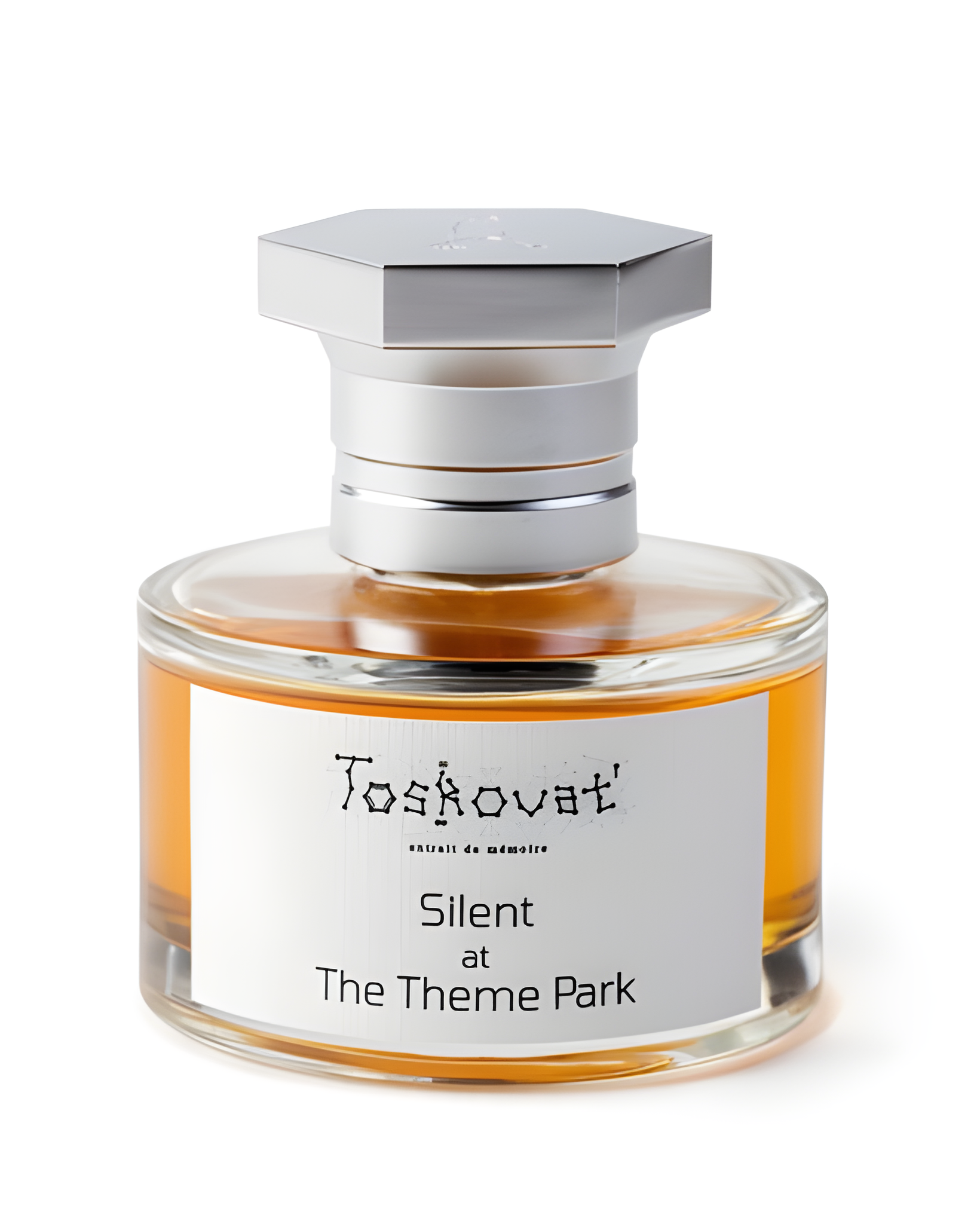 Silent at the Theme Park by Toskovat' perfume bottle