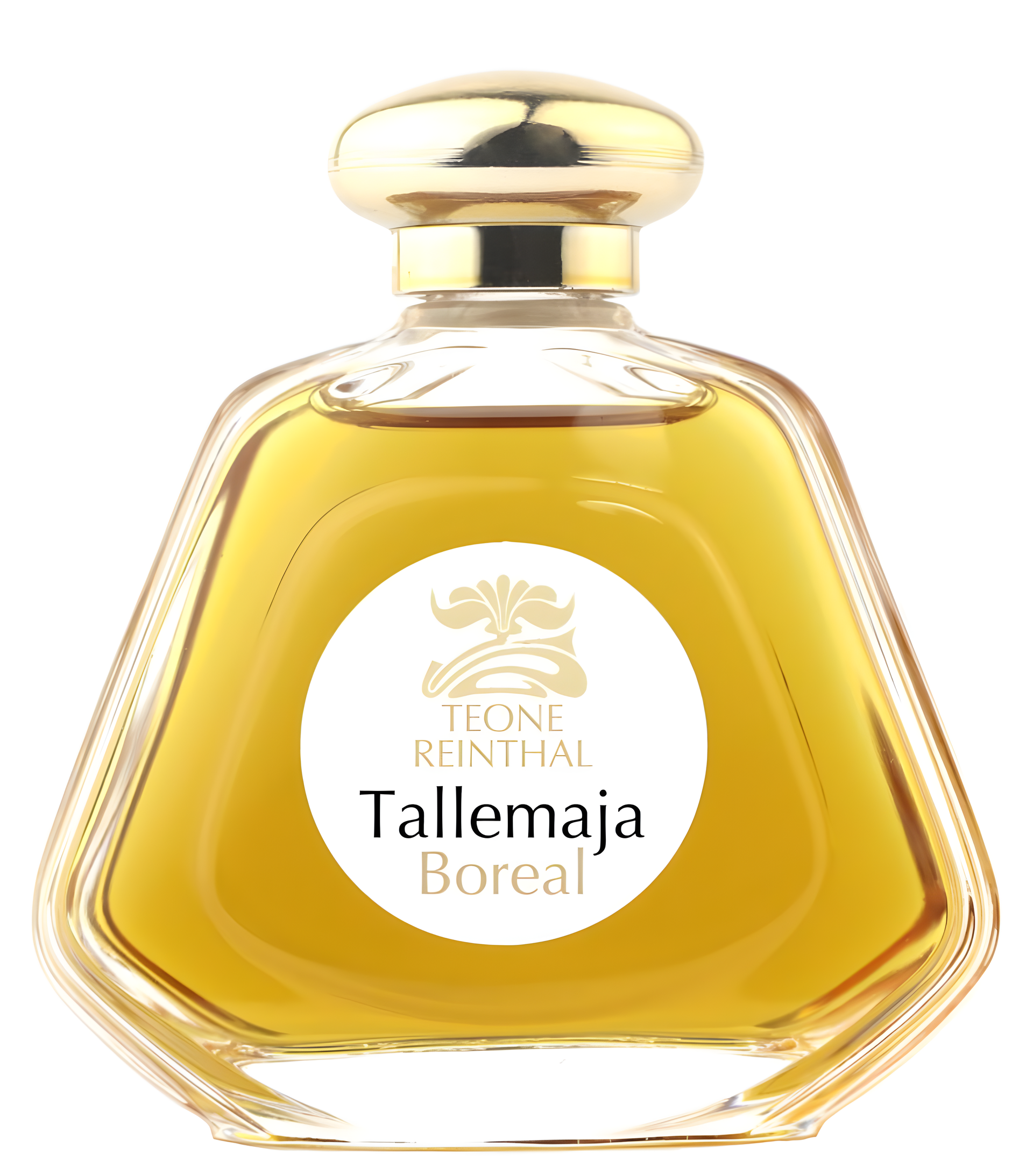 Tallemaja Boreal by TRNP perfume bottle