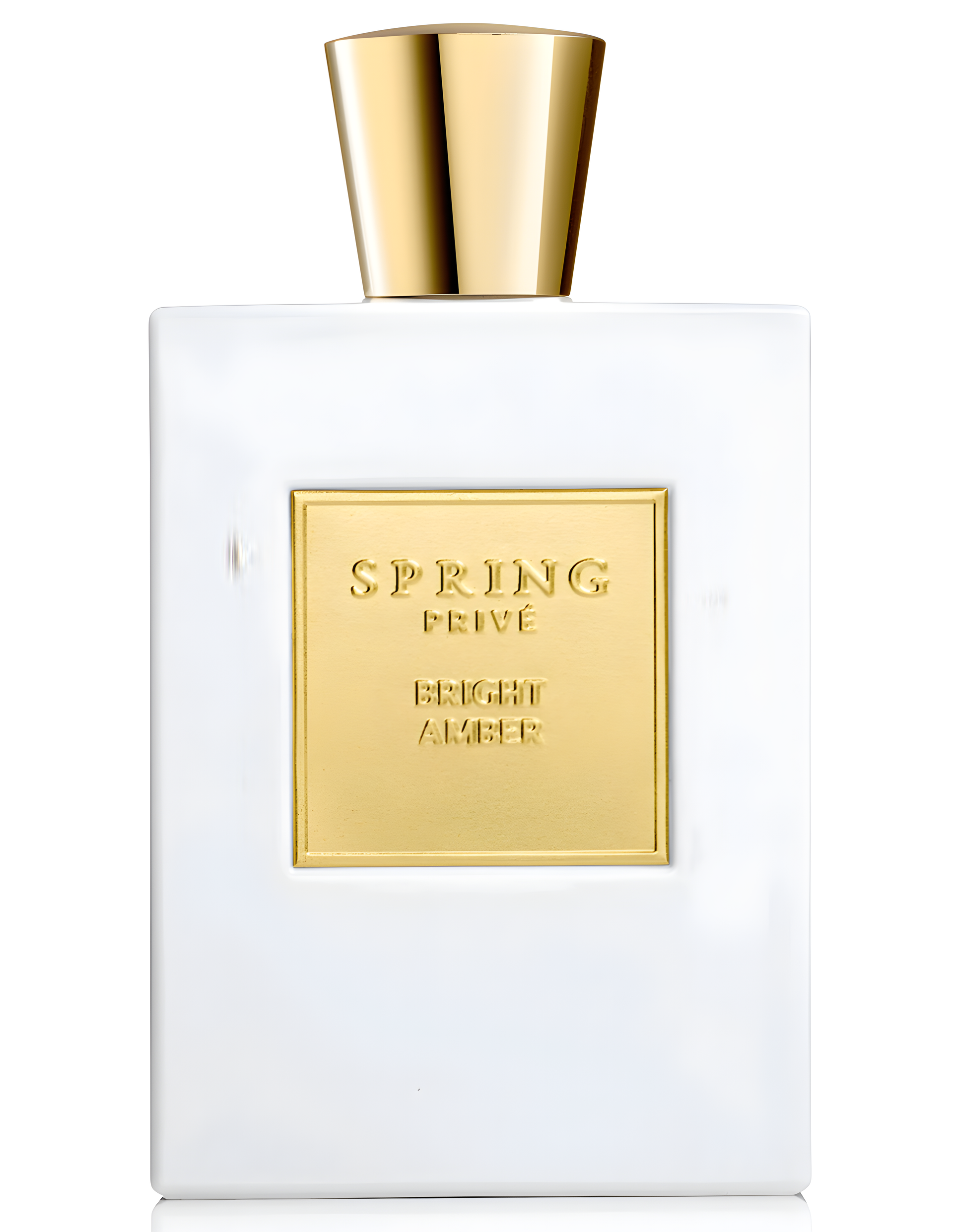 Bright Amber by Spring perfume bottle