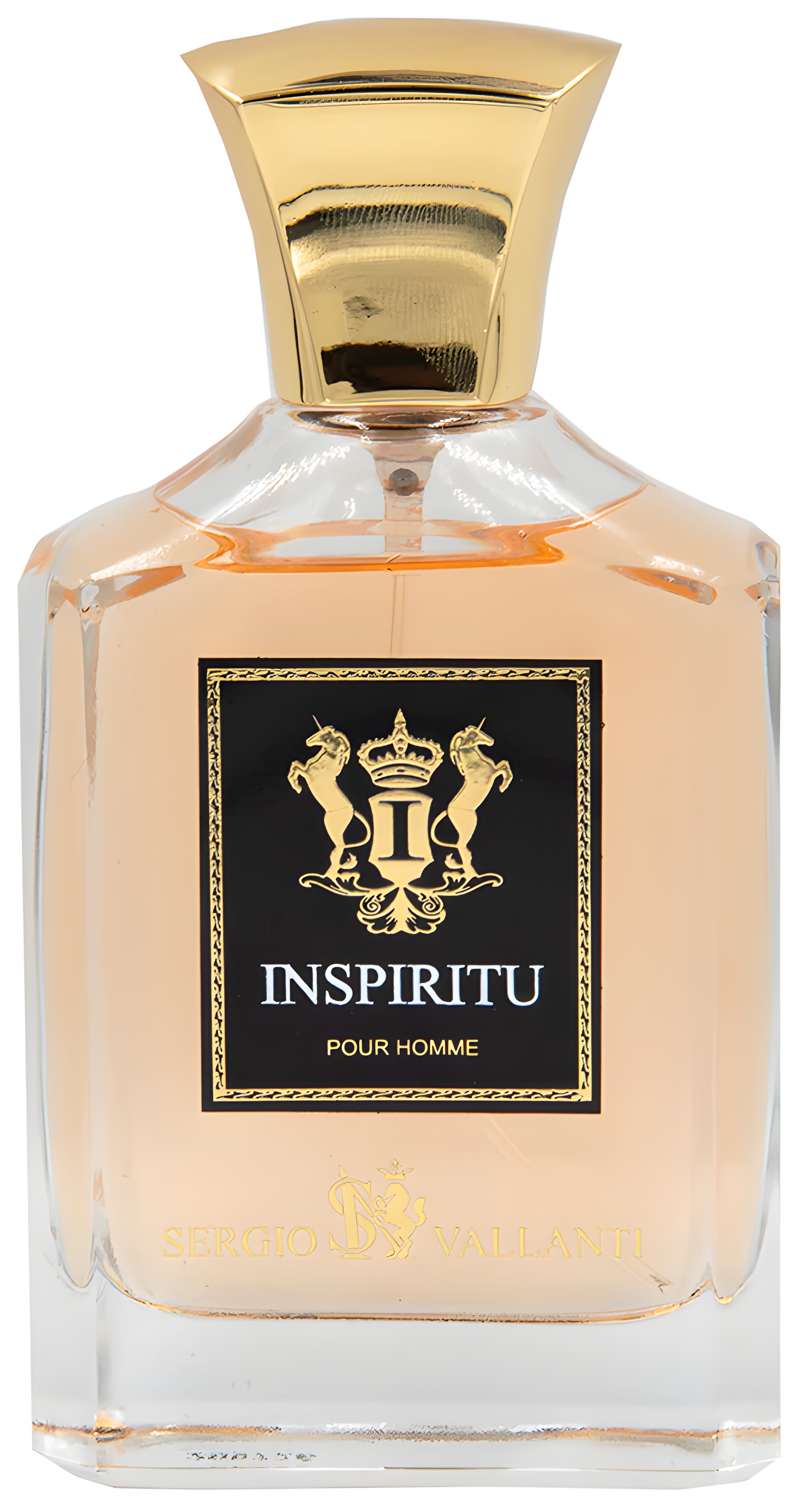 Inspiritu Pour Homme by Dumont perfume bottle