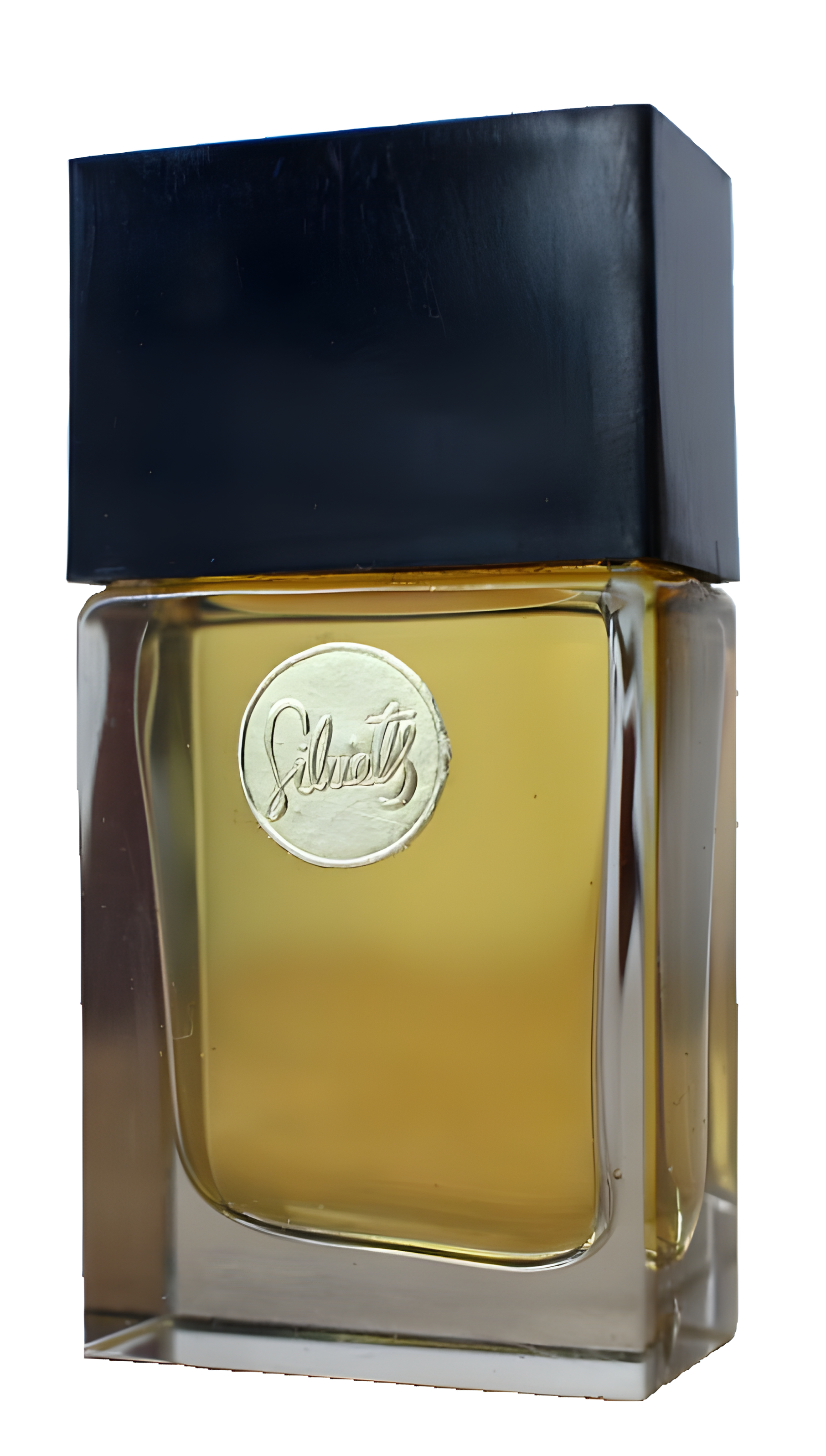 Siluets (Силуэт) by Dzintars perfume bottle