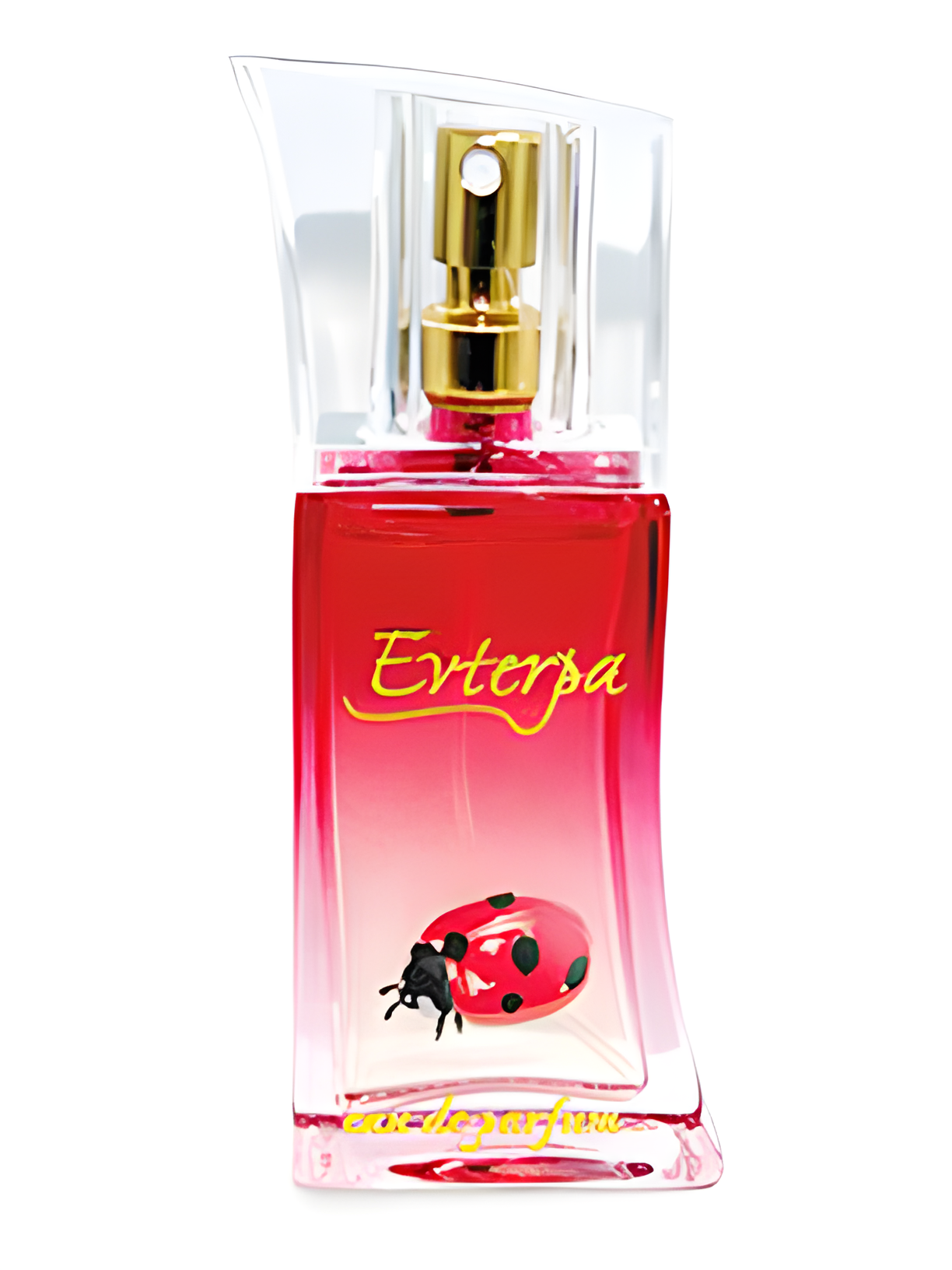 Spodeli S Men by Evterpa perfume bottle