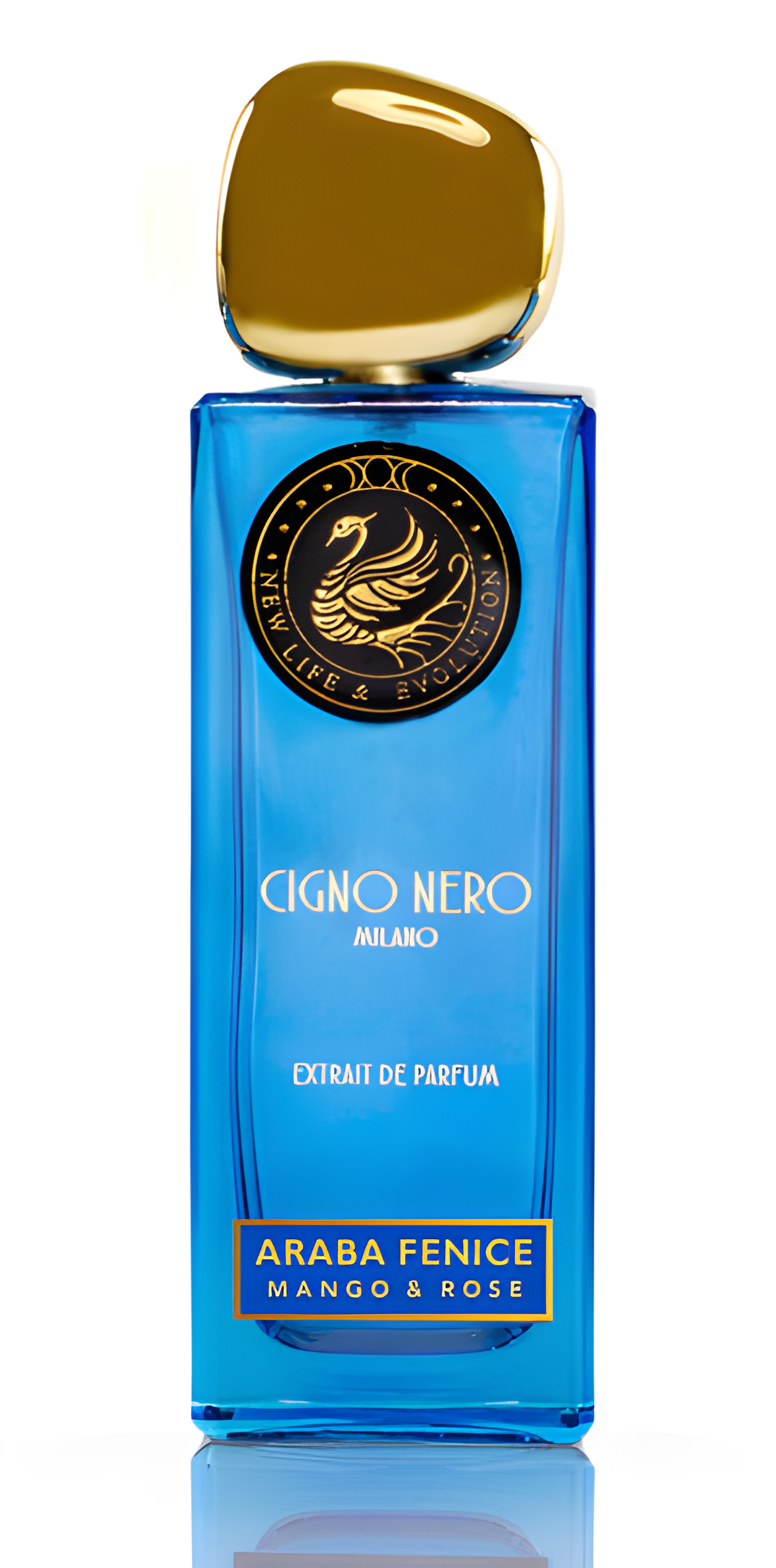 Araba Fenice by Cigno Nero perfume bottle
