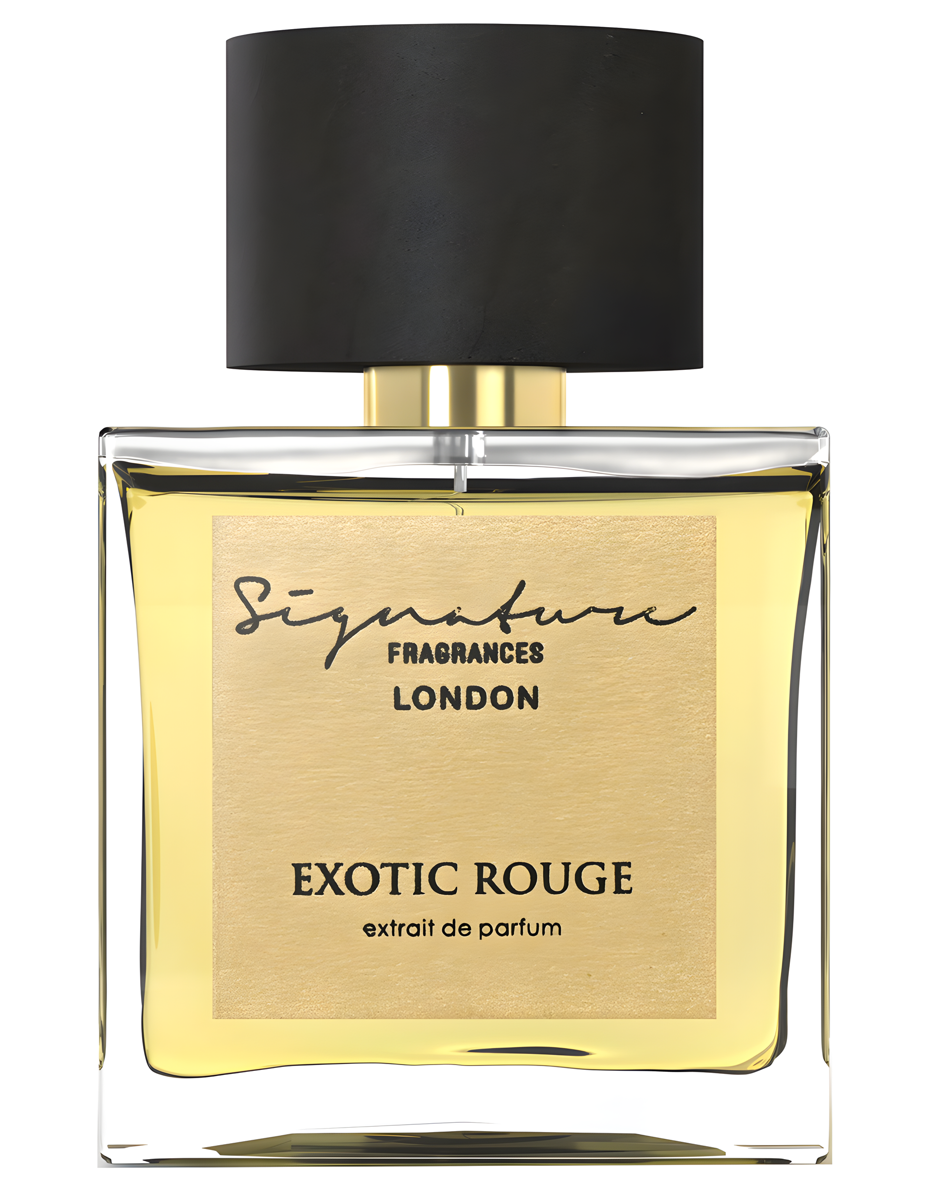 Exotic Rouge by Signature Fragrances perfume bottle