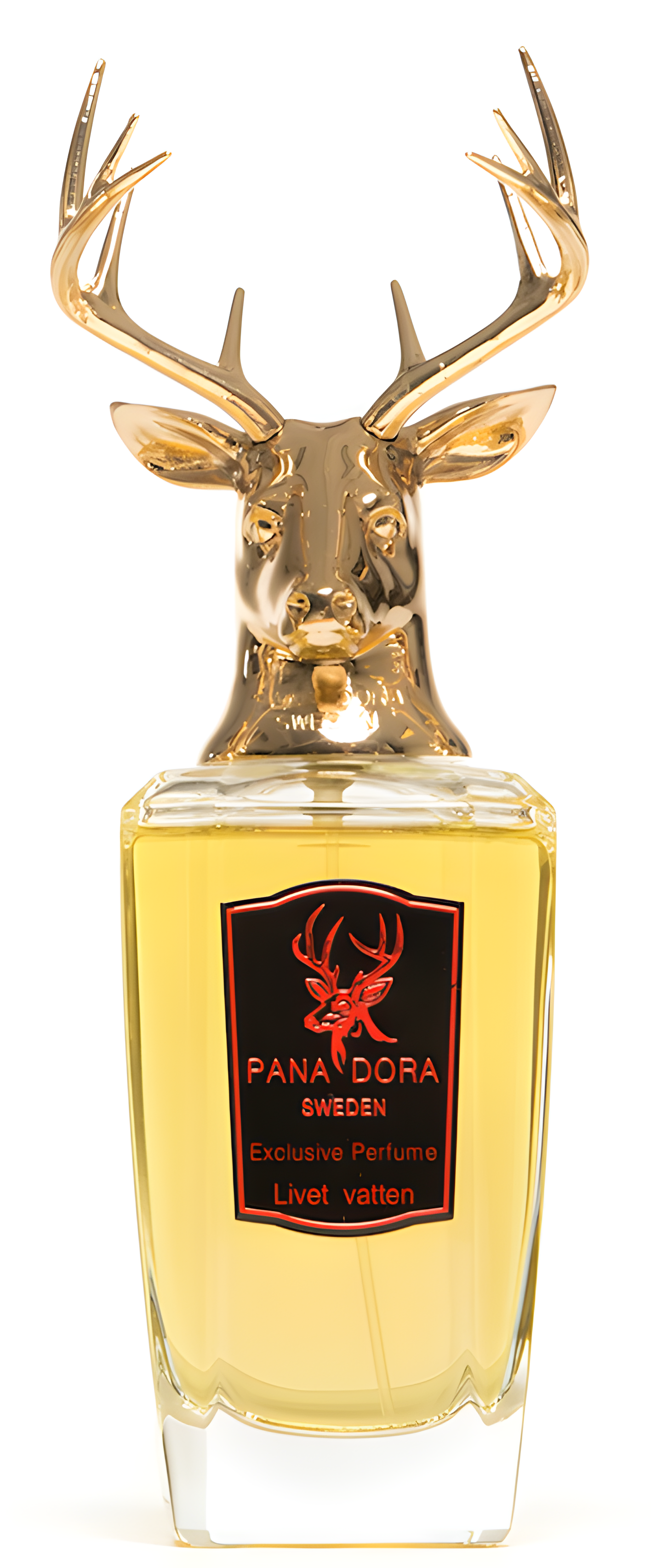 Livet Vatten by Pana Dora perfume bottle