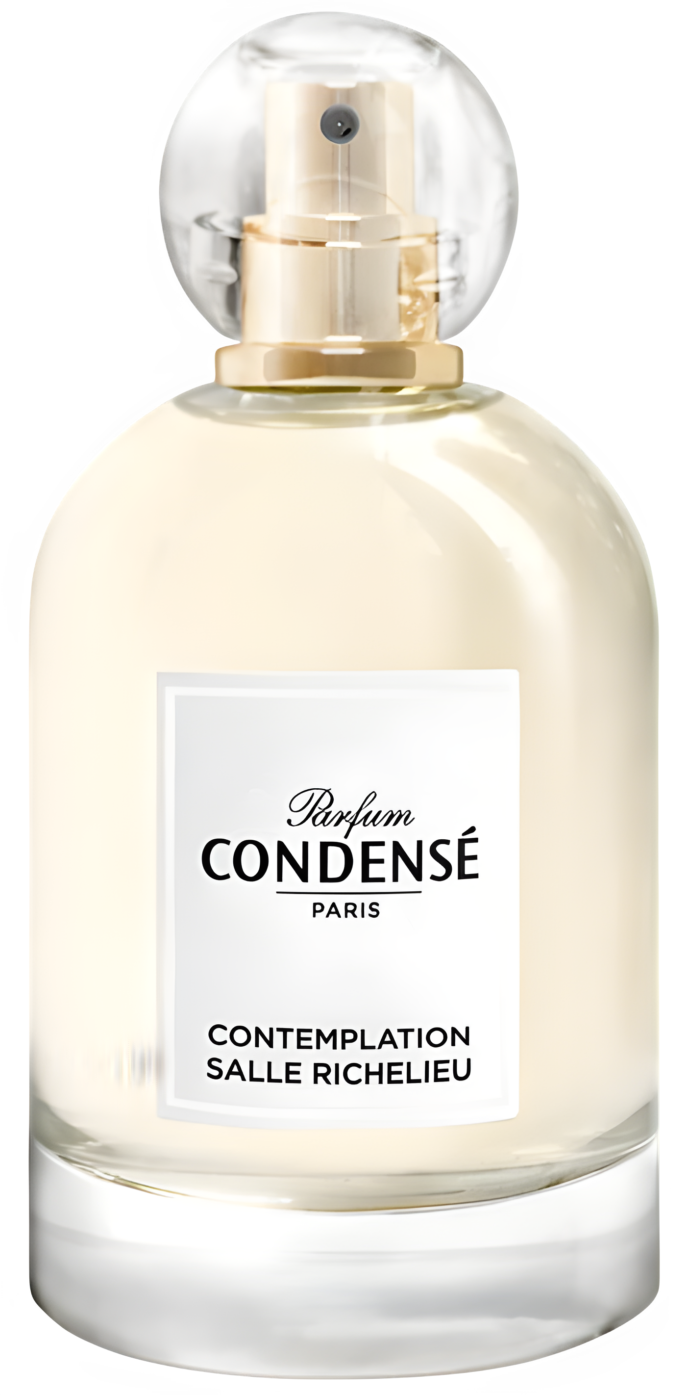 Contemplation Salle Richelieu by Condensé Paris perfume bottle