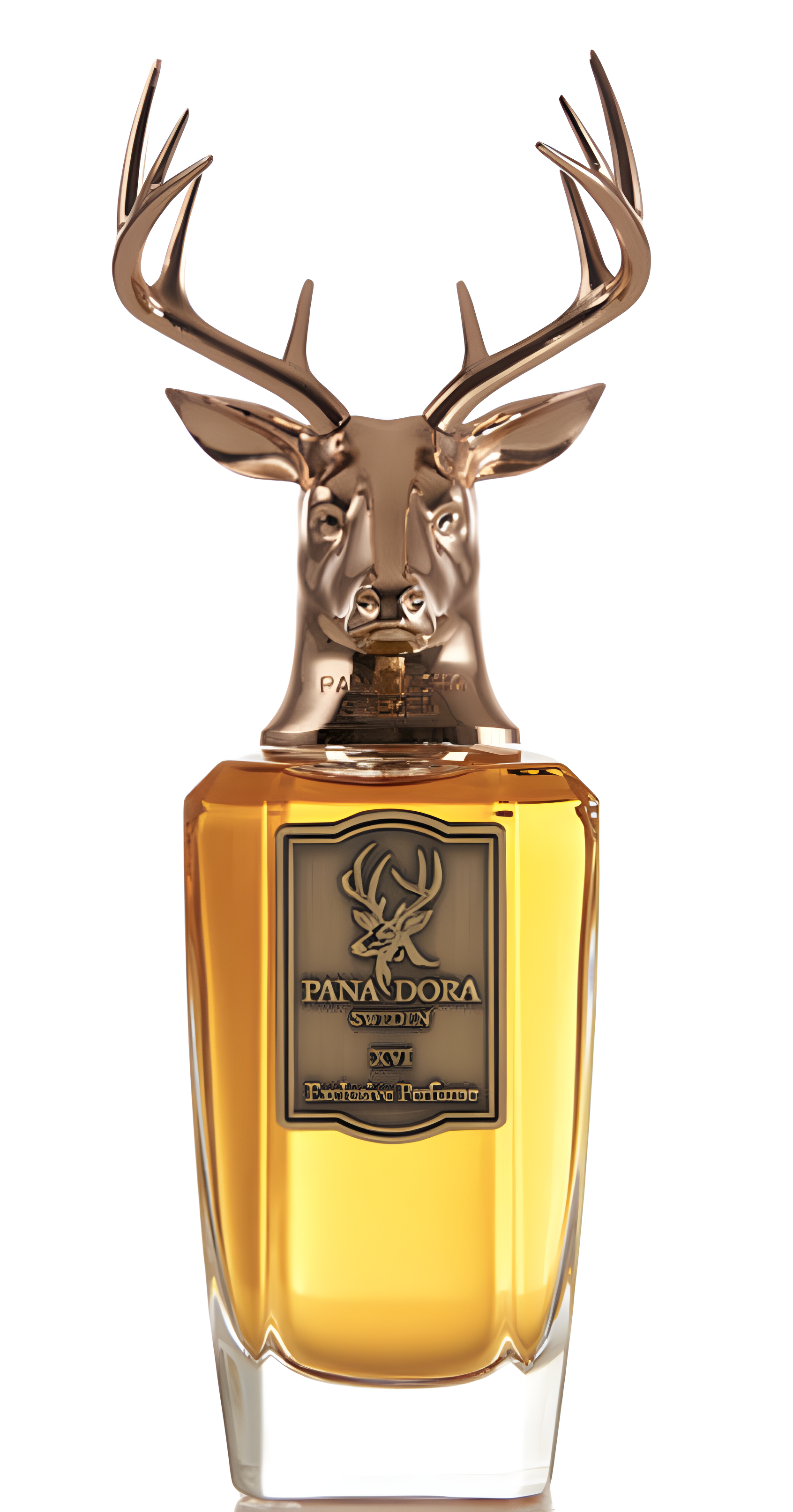 XVI by Pana Dora perfume bottle