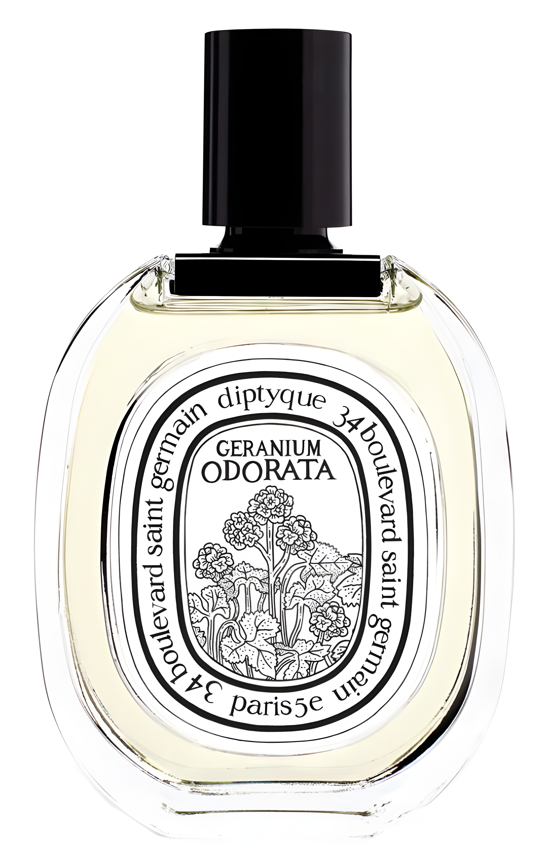 Geranium Odorata by Diptyque perfume bottle