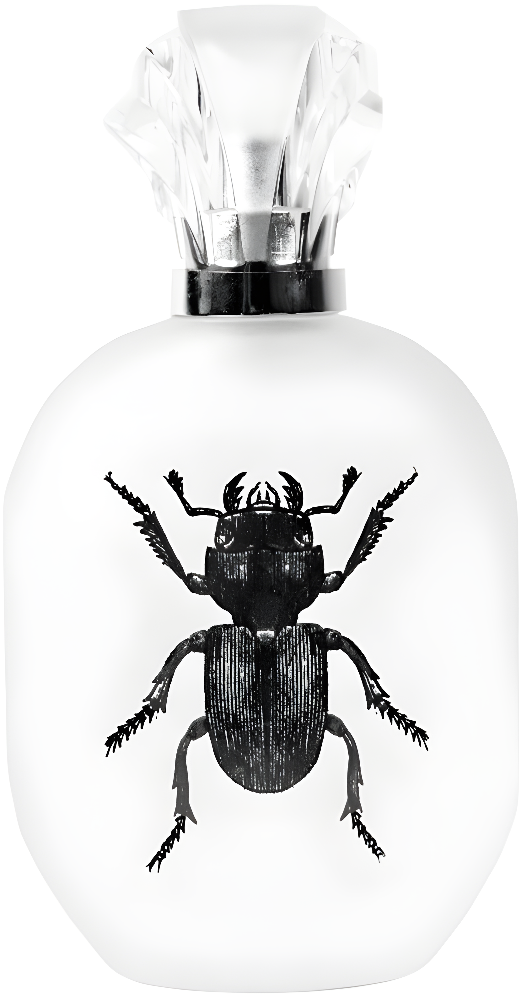 Alessandro Manfredini by Captain Fawcett's perfume bottle