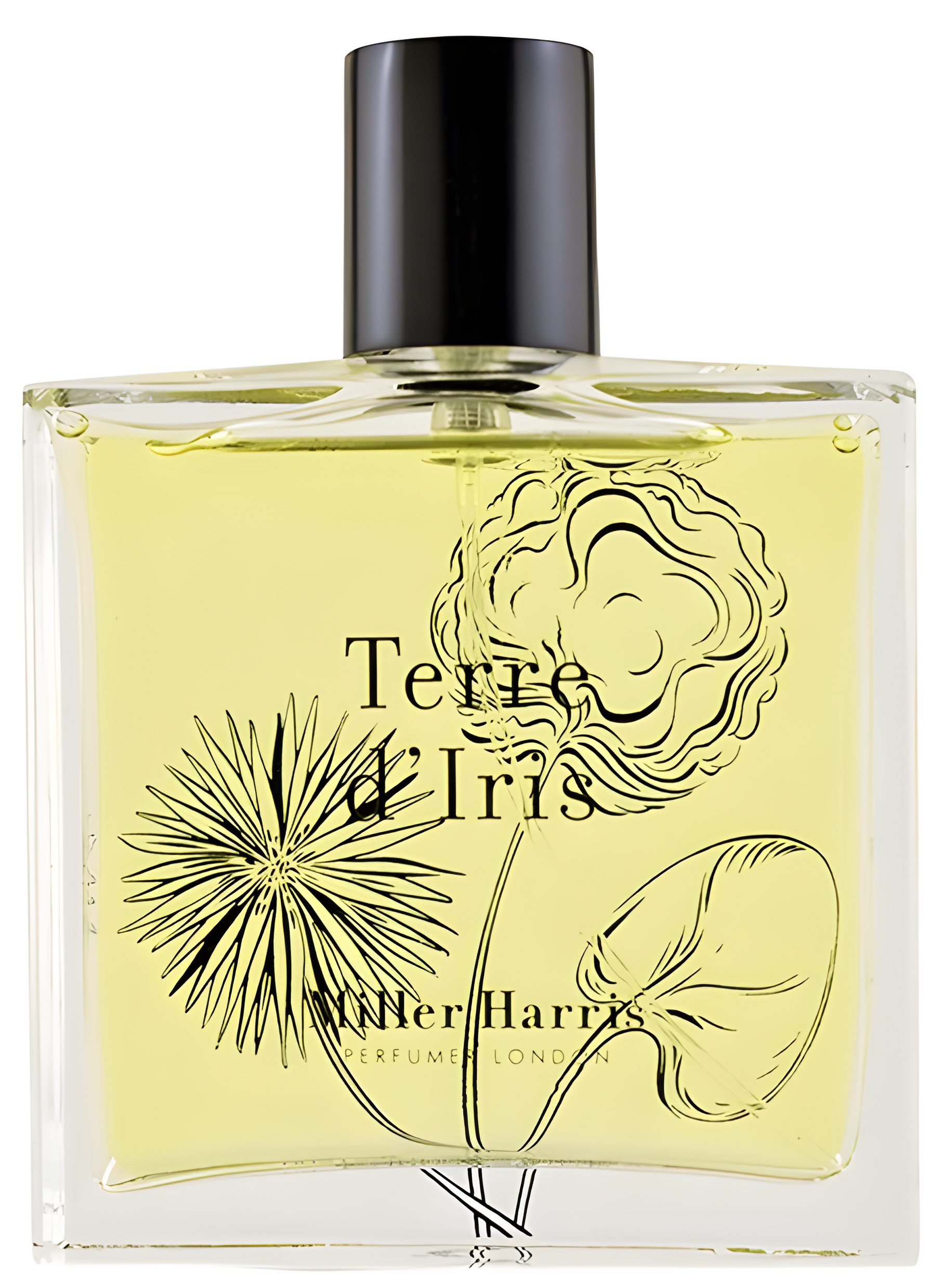 Terre d'Iris by Miller Harris perfume bottle