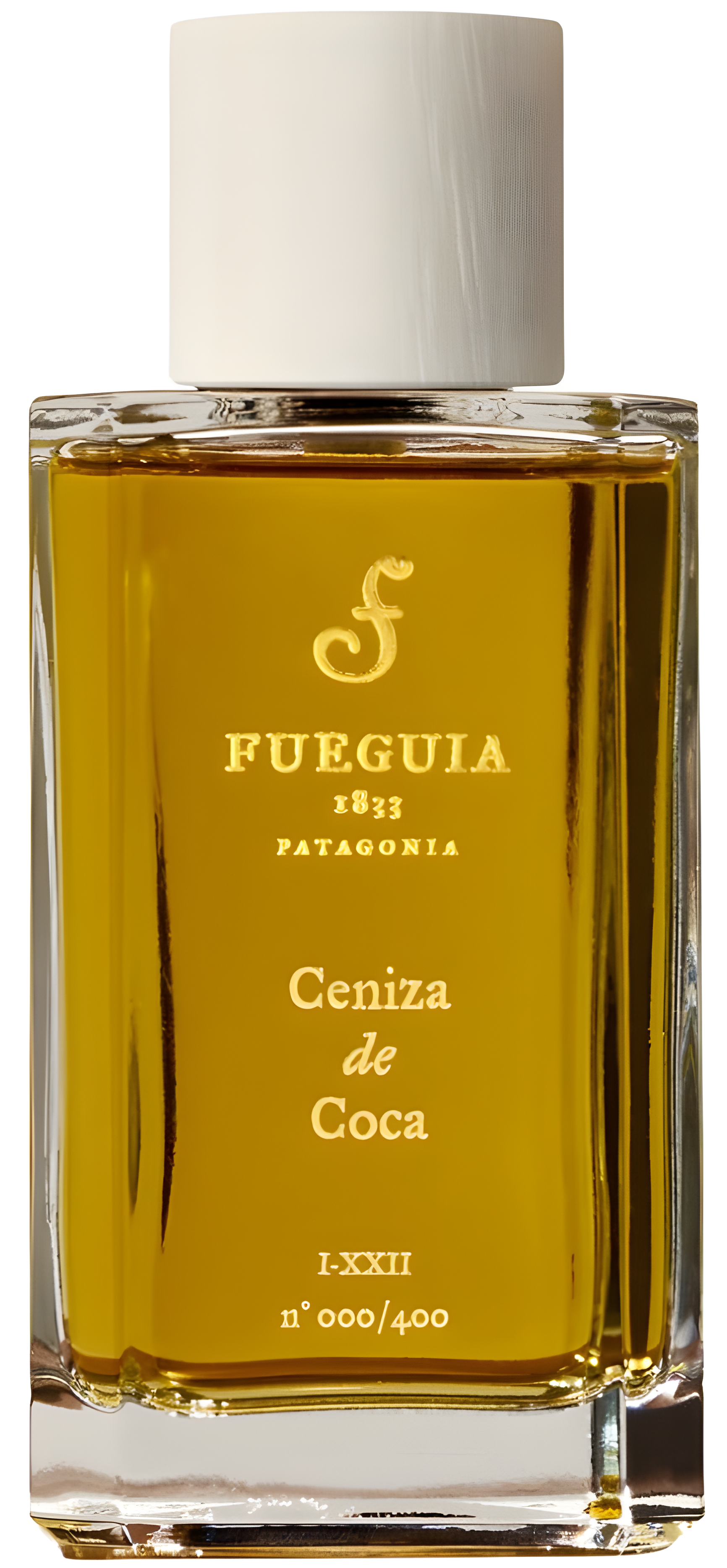 Ceniza de Coca by Fueguia 1833