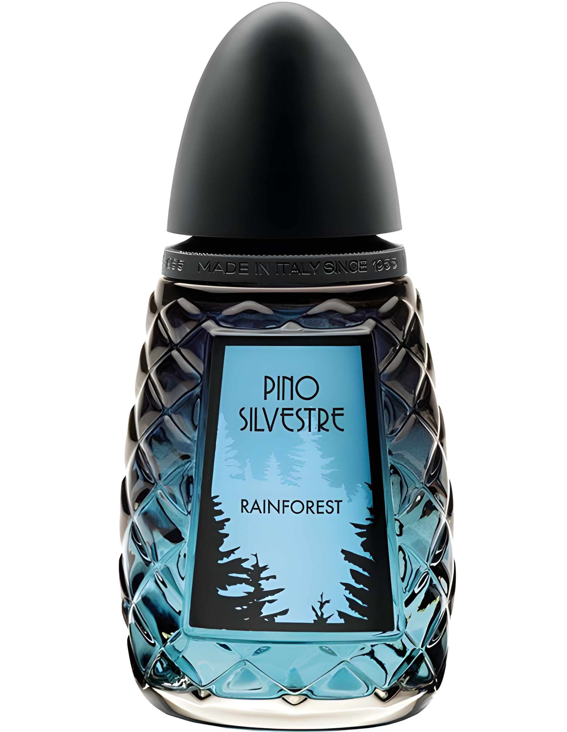 Rainforest by Pino Silvestre perfume bottle