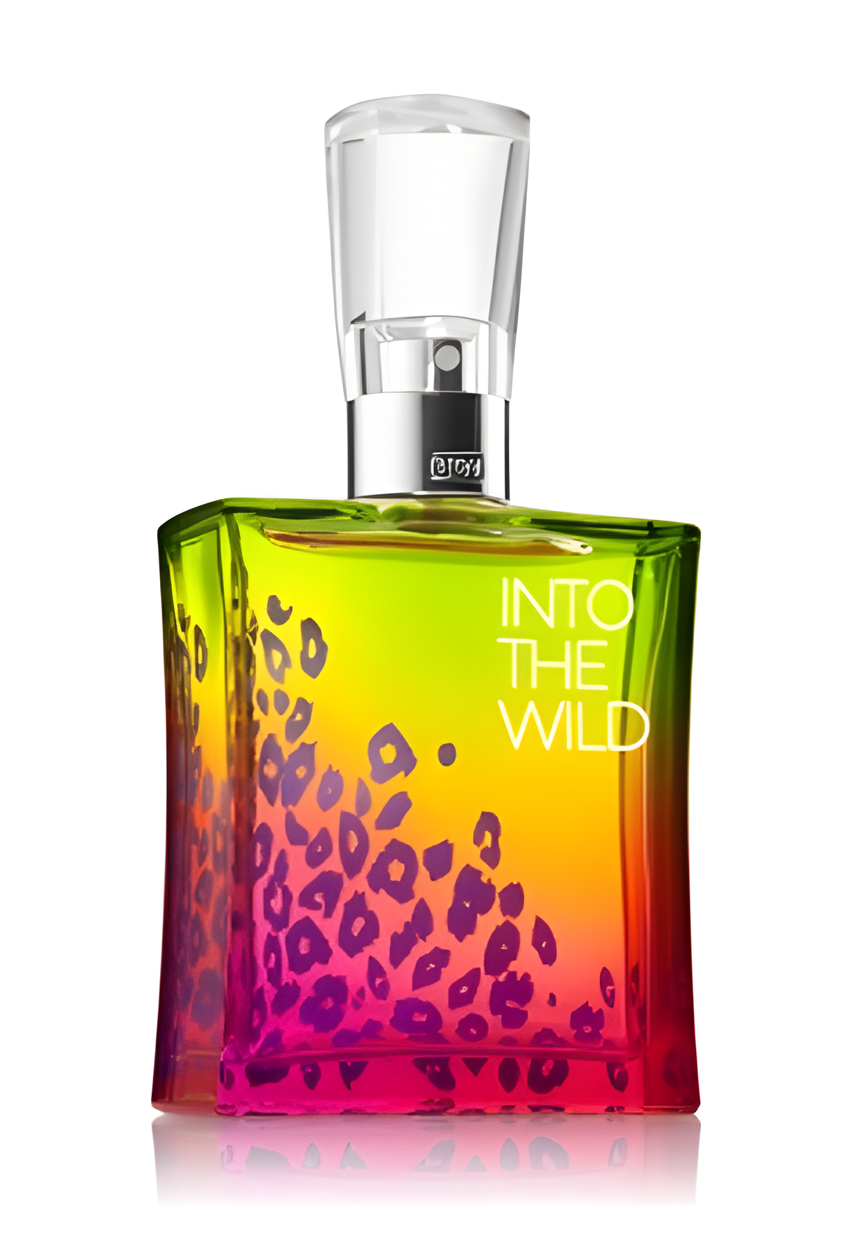 Into the Wild by Bath & Body Works perfume bottle