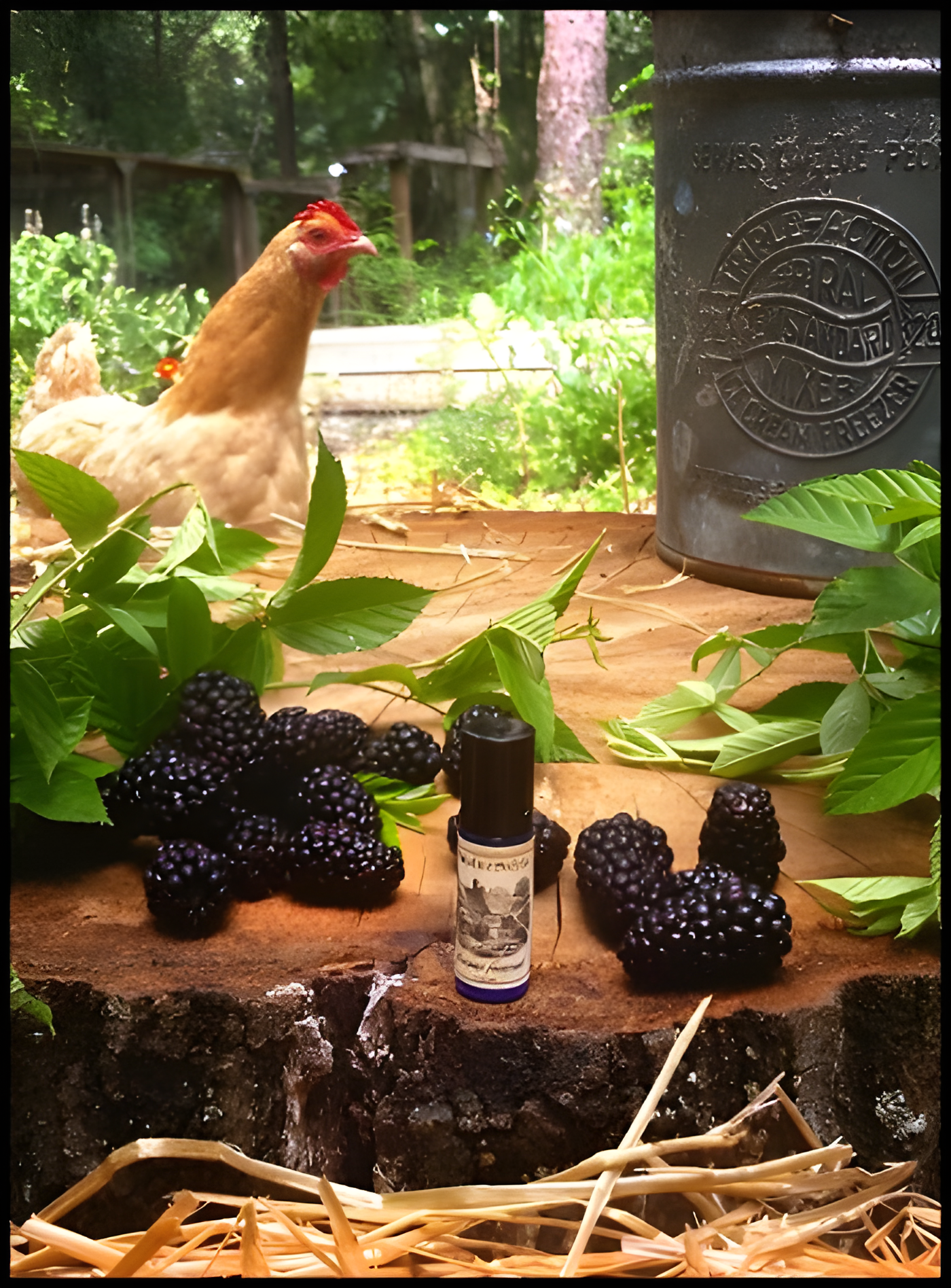 Blackburn Farmstead by Solstice Scents perfume bottle