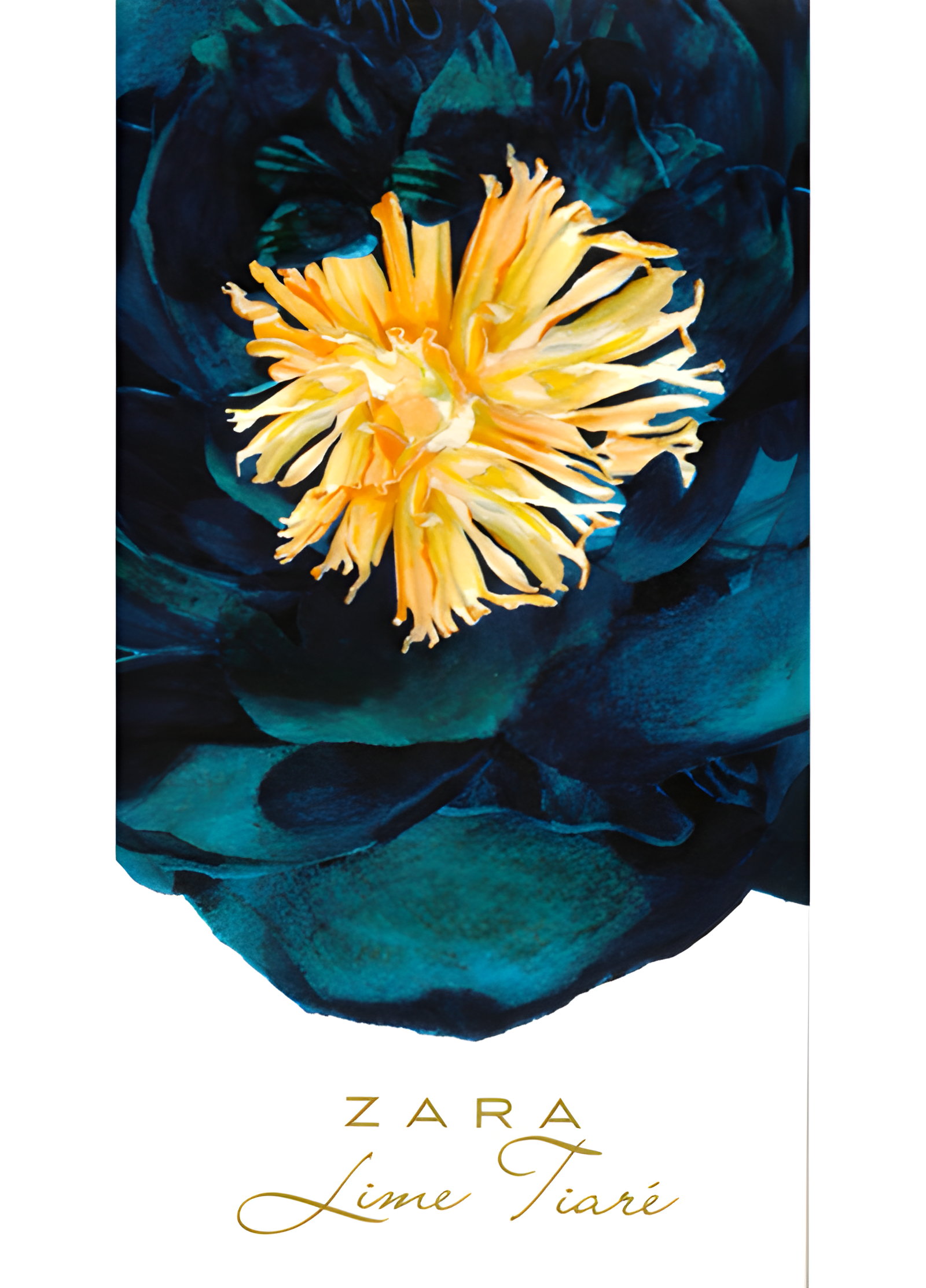 Lime Tiare by Zara perfume bottle