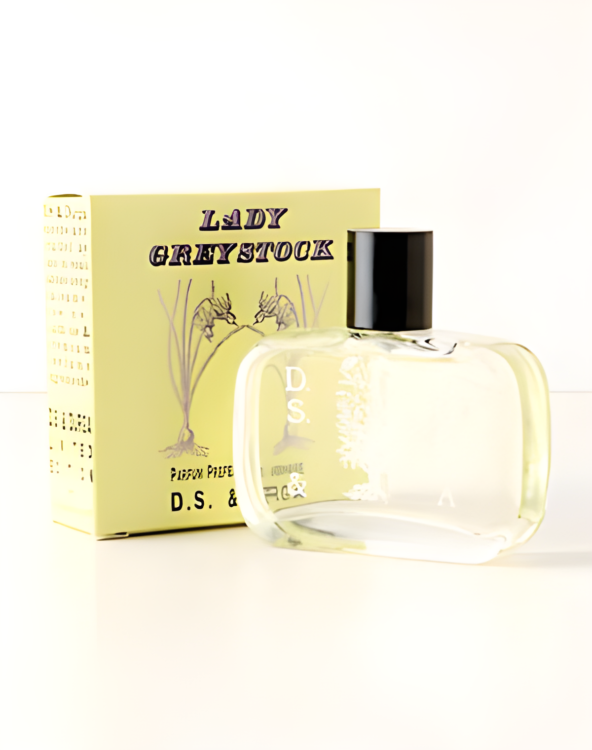 Lady Greystock by DS&Durga perfume bottle