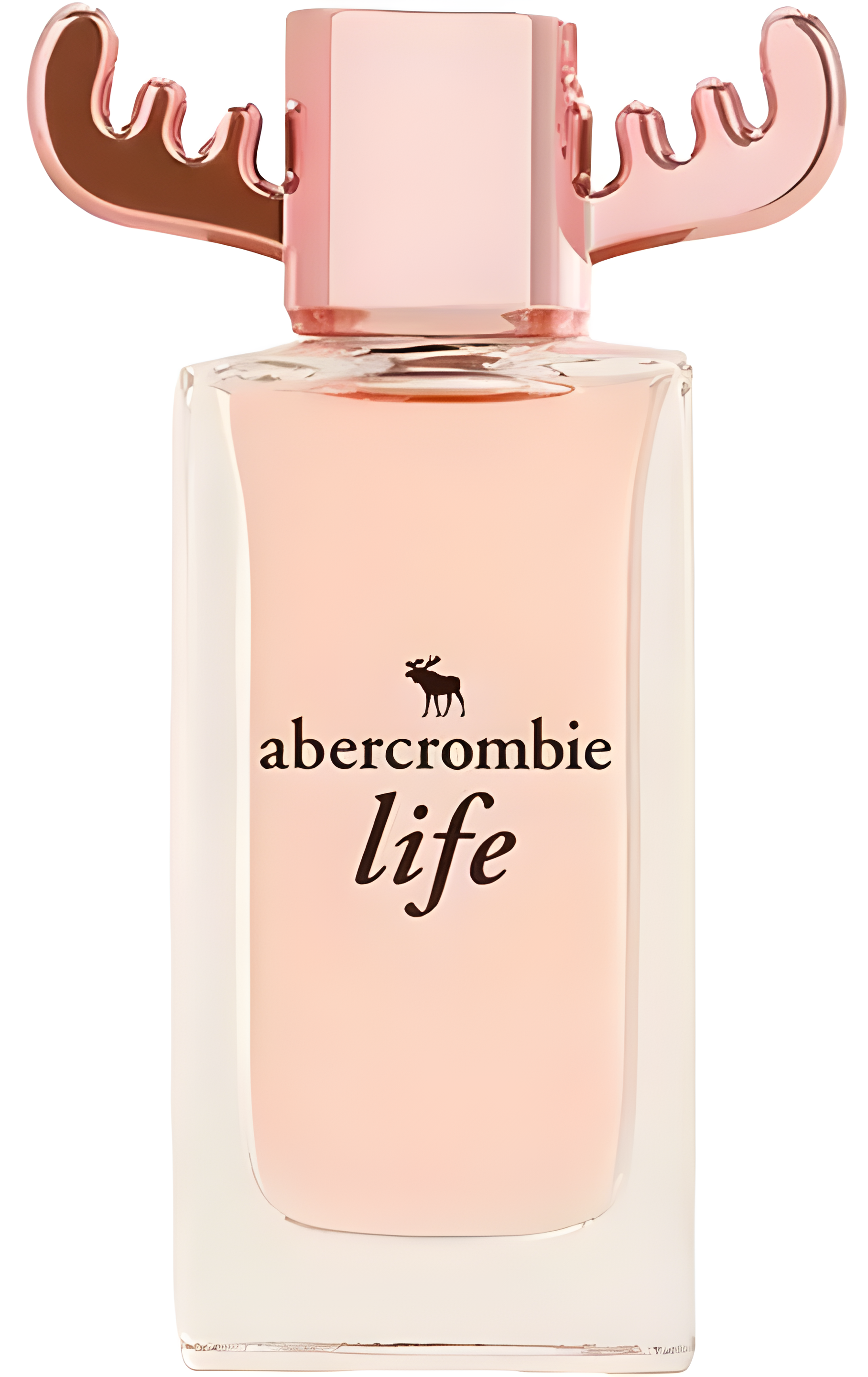 Life by Abercrombie & Fitch perfume bottle