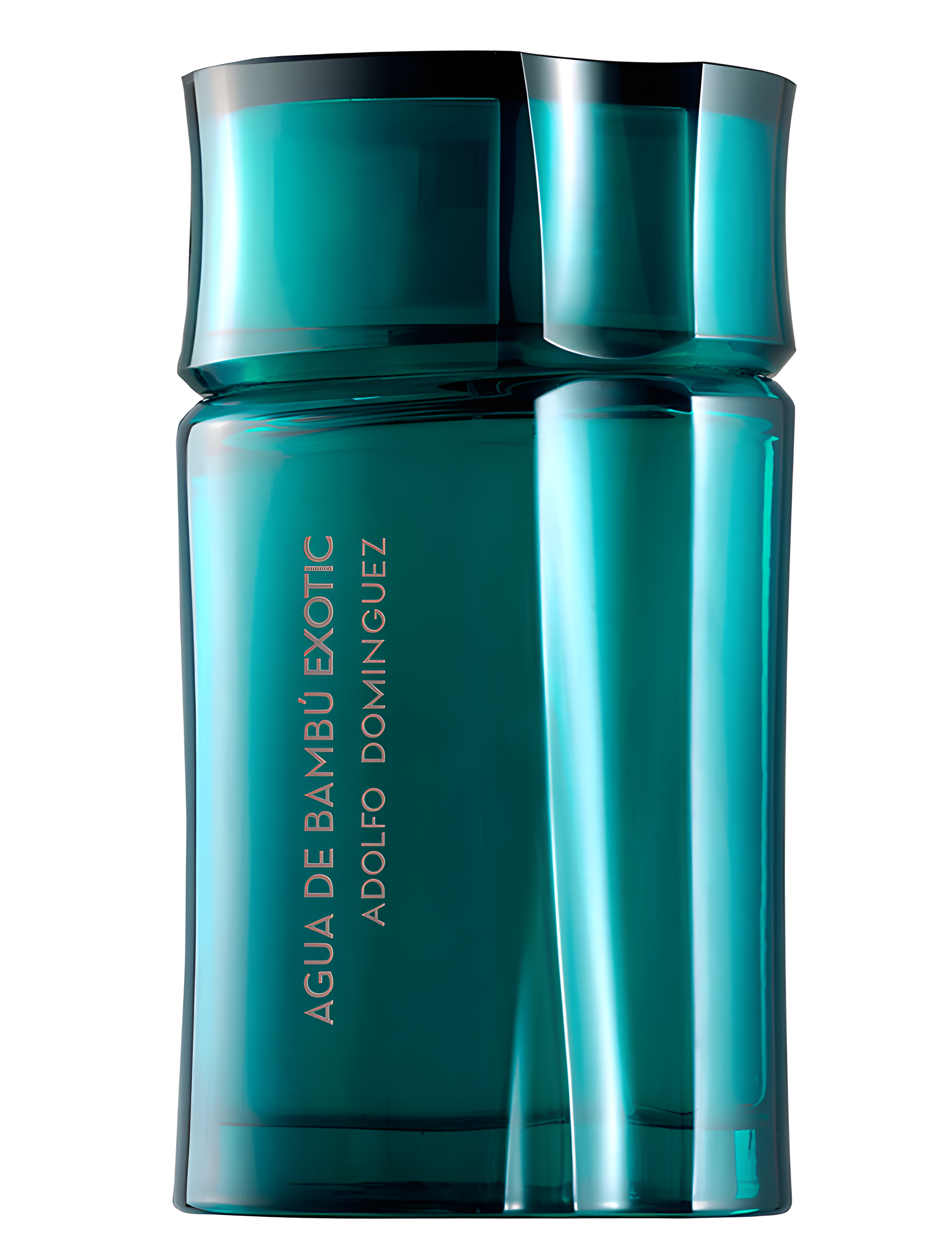 Agua de Bambu Exotic for Him by Adolfo Dominguez perfume bottle