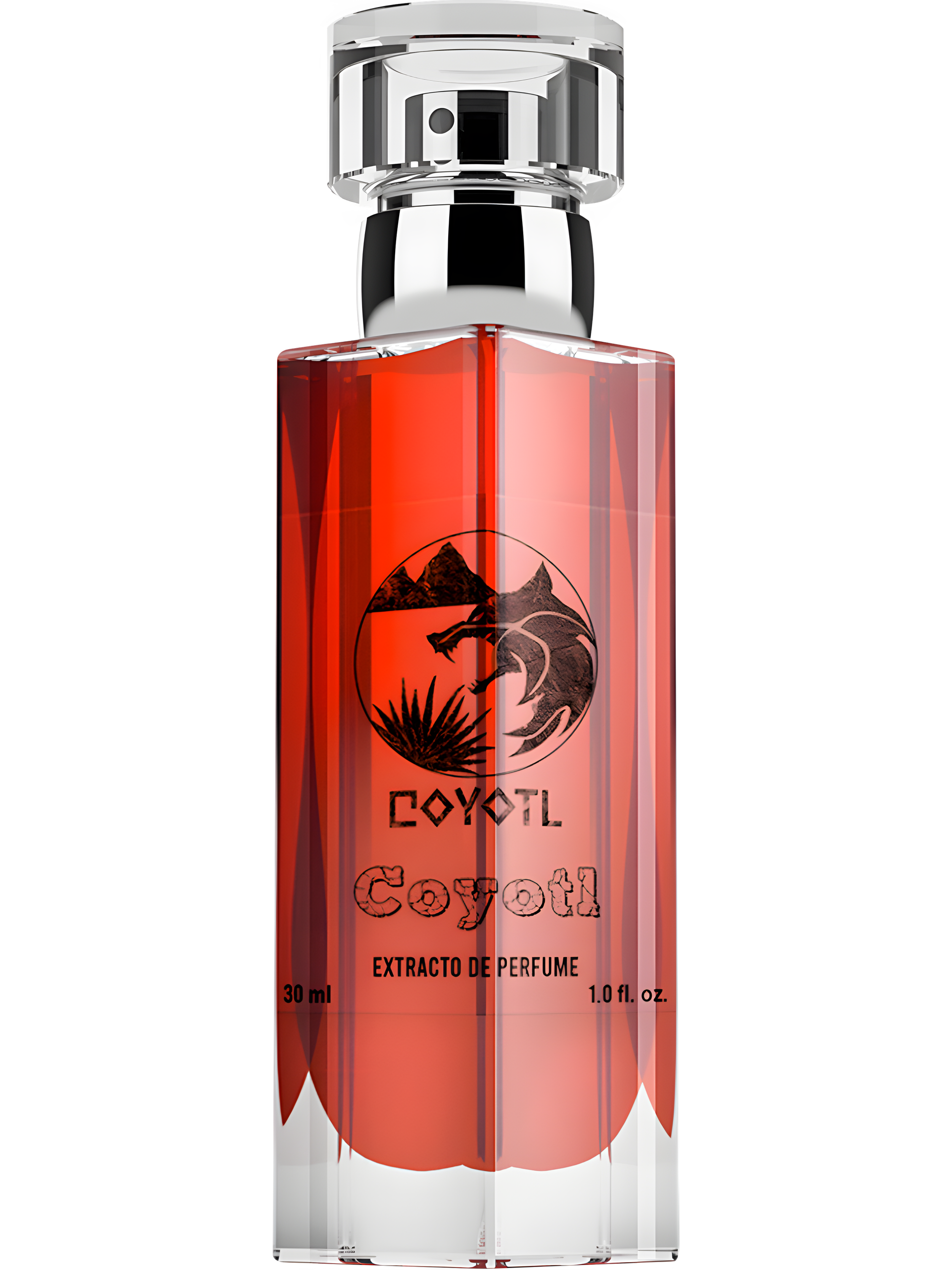 Coyotl by Coyotl perfume bottle