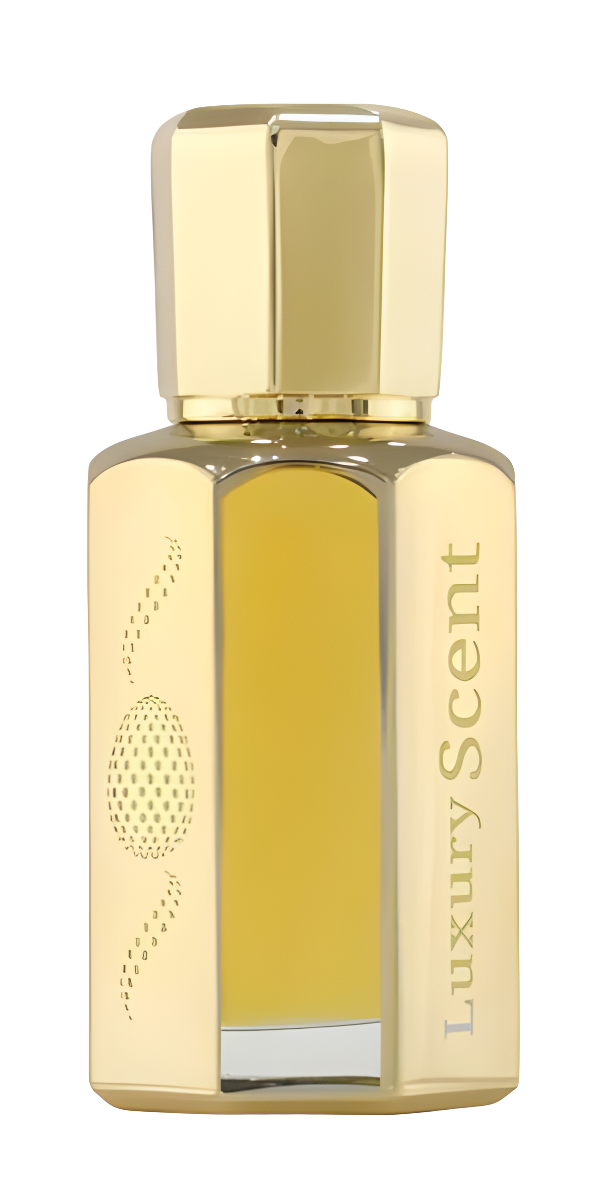 Traveller Men by Luxury Scent perfume bottle