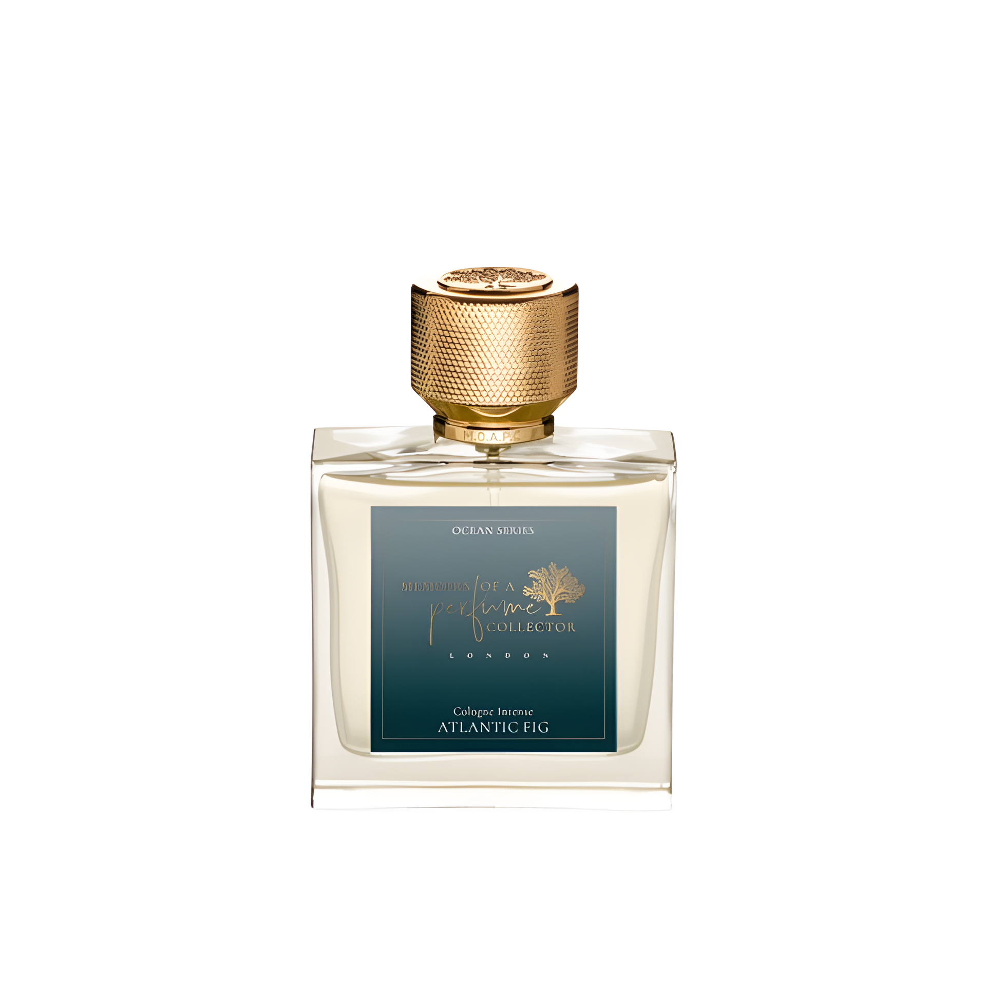 Atlantic Fig by Memoirs Of A Perfume Collector perfume bottle