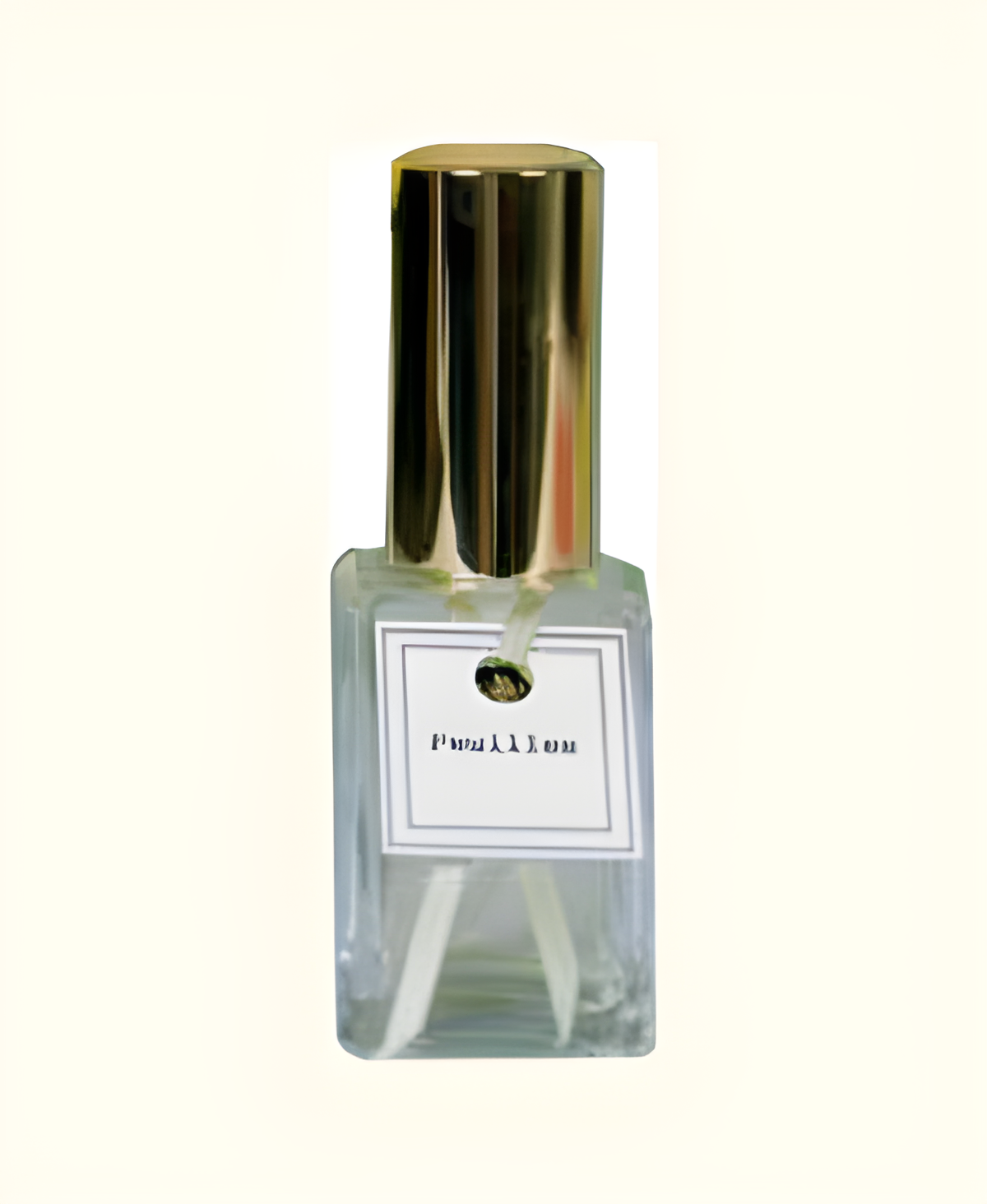 Feuilles (Leaves) by DSH Perfumes perfume bottle